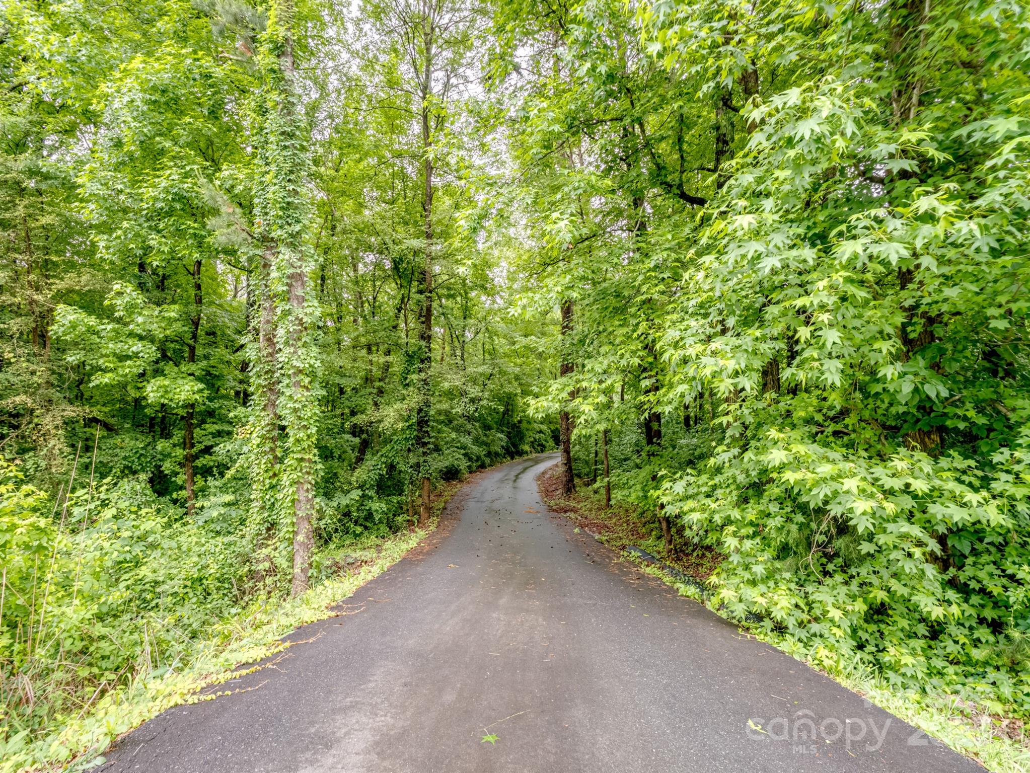 5369 Concord Road Property Photo 28