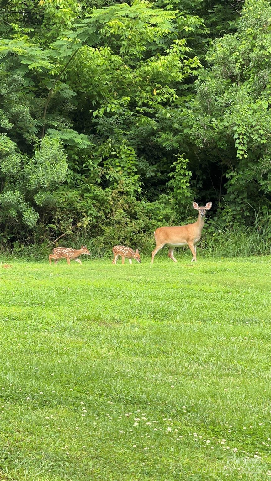 5369 Concord Road Property Photo 31