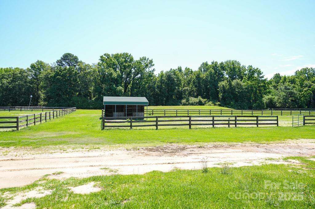 9167 Hasty Road Property Photo 32