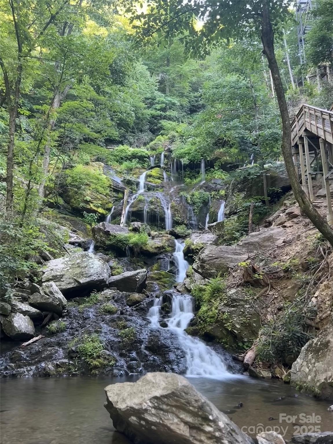 611 Bat Cave Road Property Photo 7