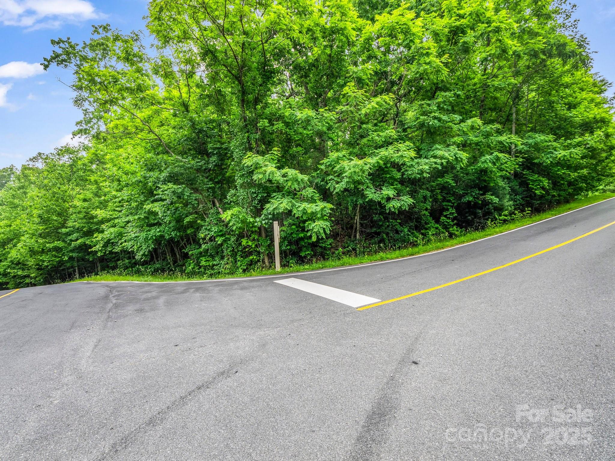 168 Tarnhill Drive Property Photo 4