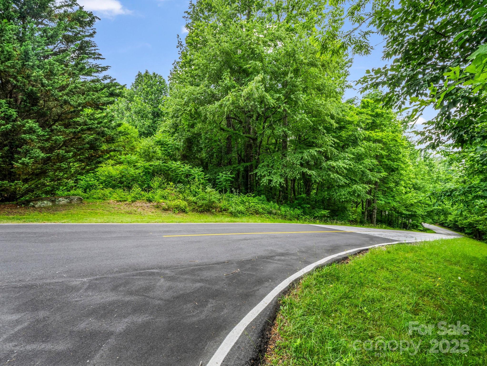 168 Tarnhill Drive Property Photo 6