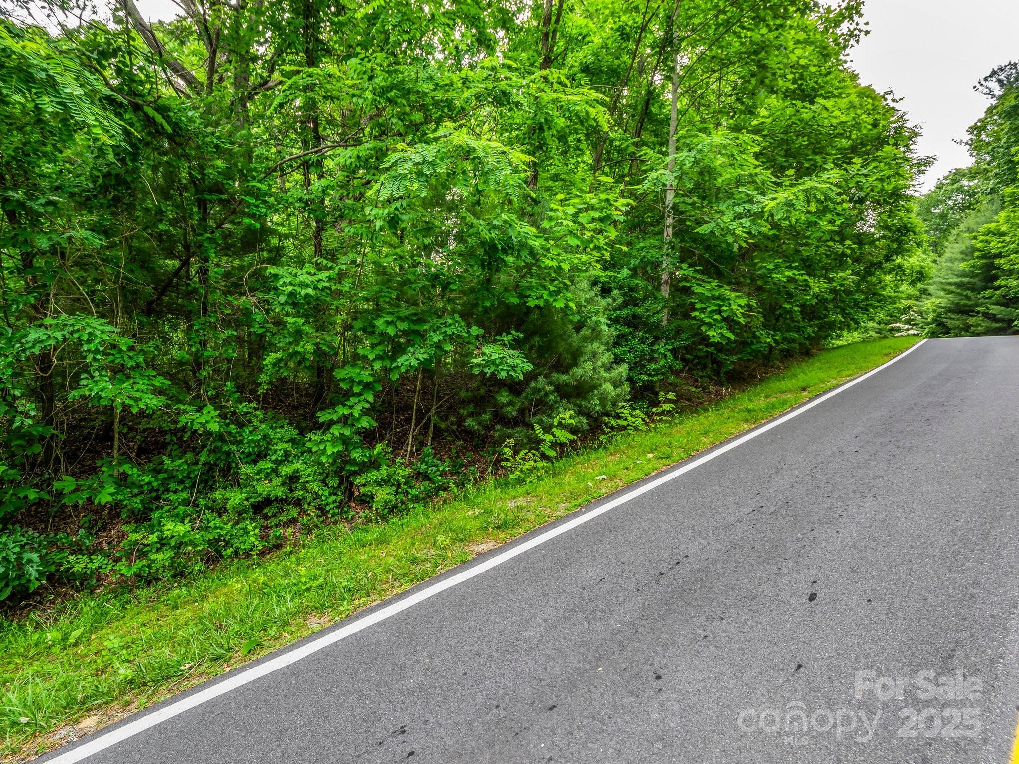 168 Tarnhill Drive Property Photo 7