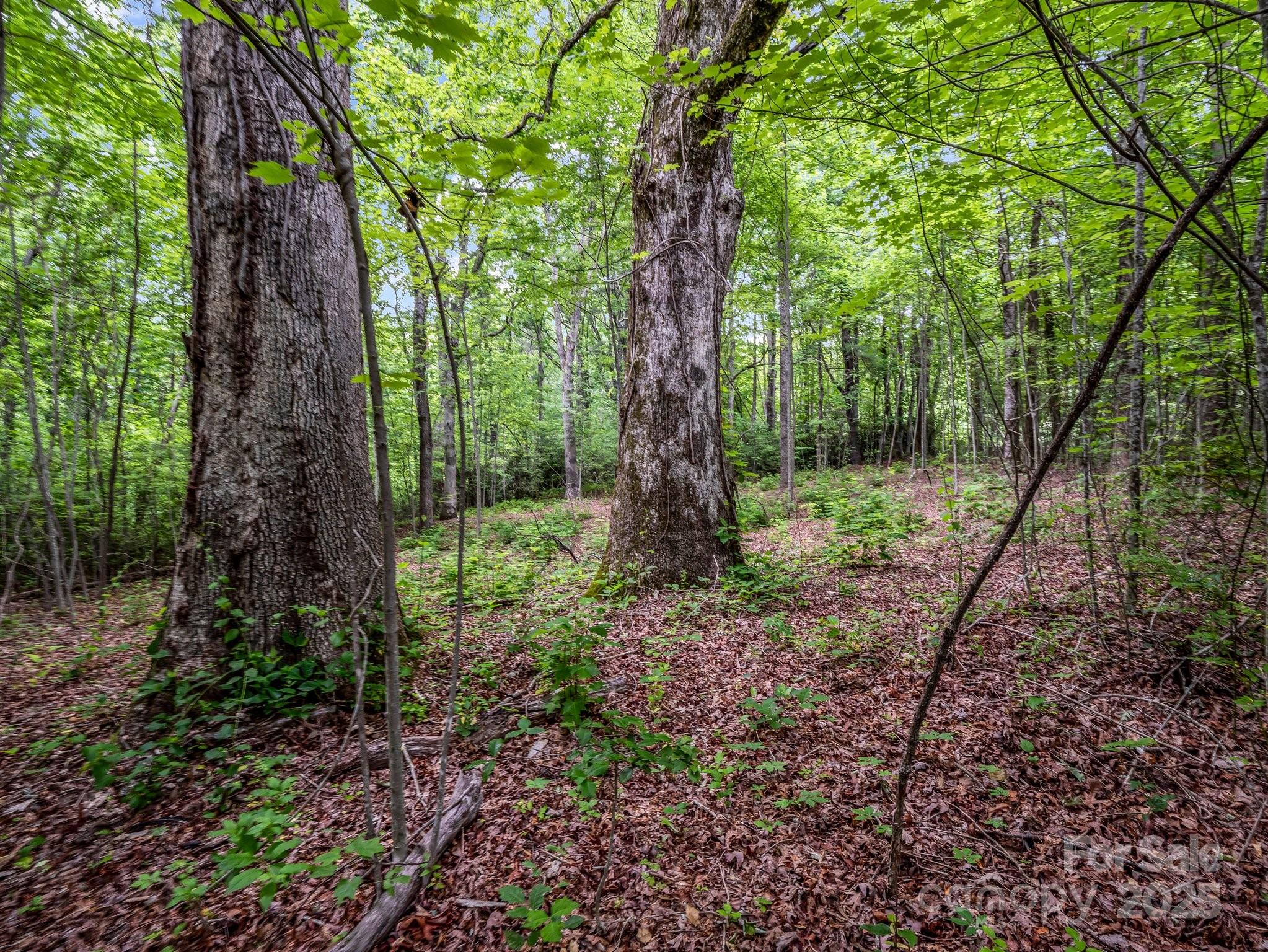 168 Tarnhill Drive Property Photo 10