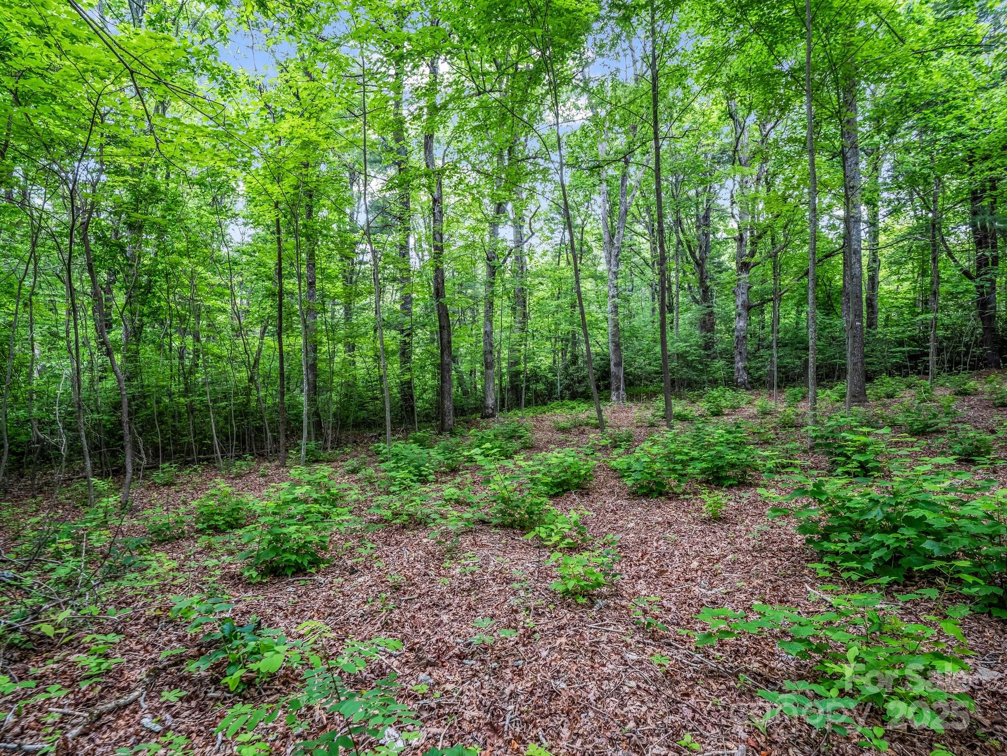 168 Tarnhill Drive Property Photo 11