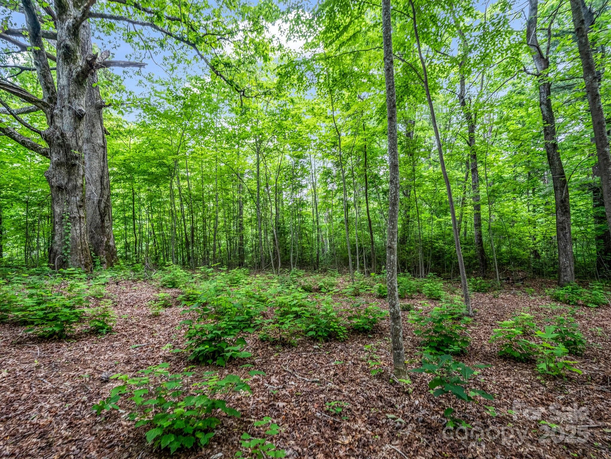 168 Tarnhill Drive Property Photo 12