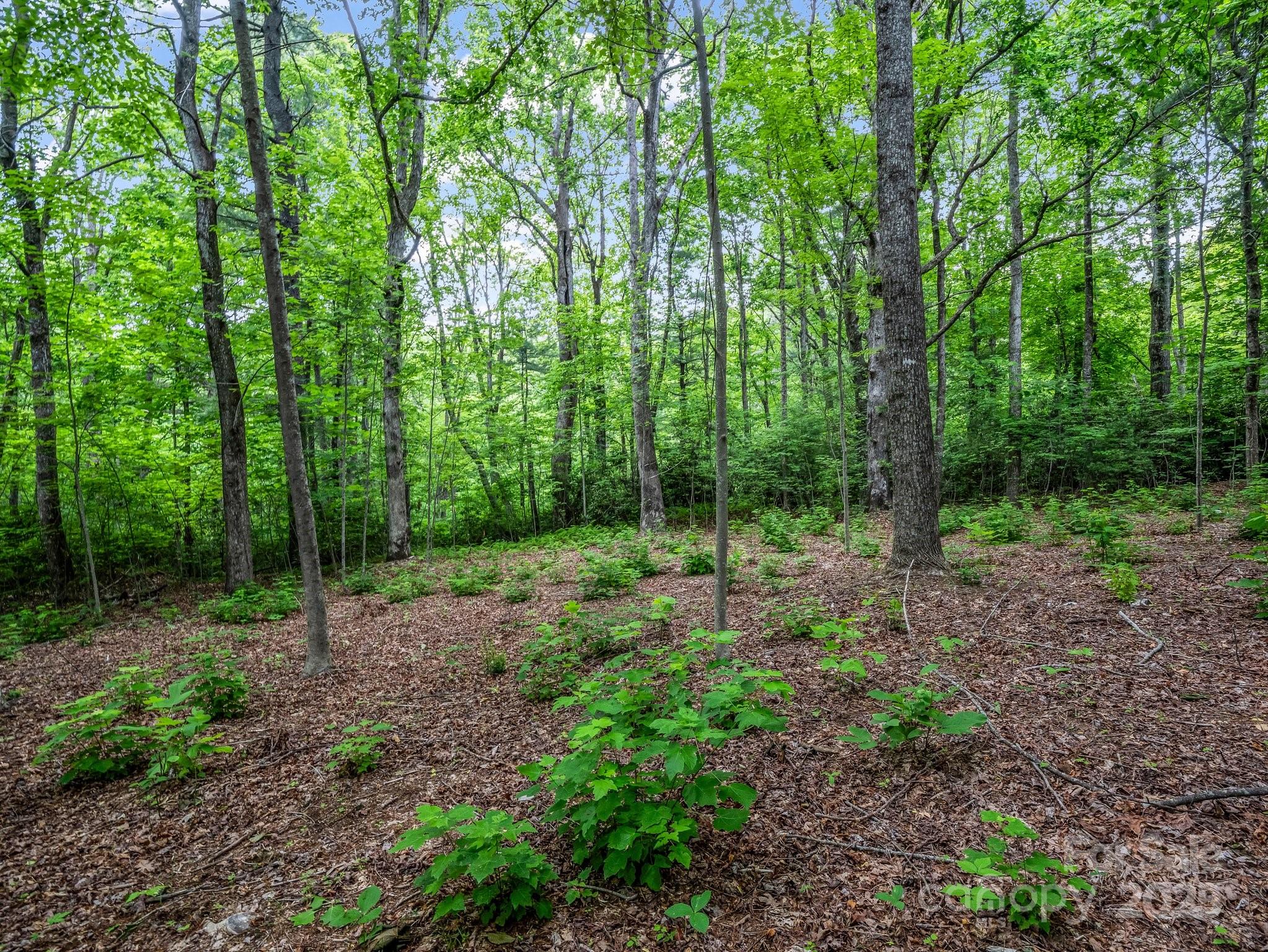 168 Tarnhill Drive Property Photo 13