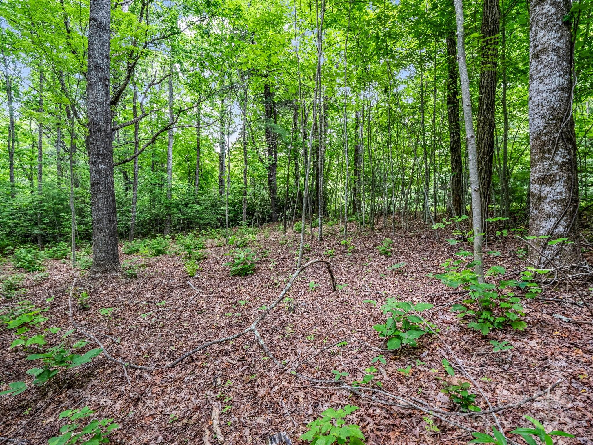 168 Tarnhill Drive Property Photo 14