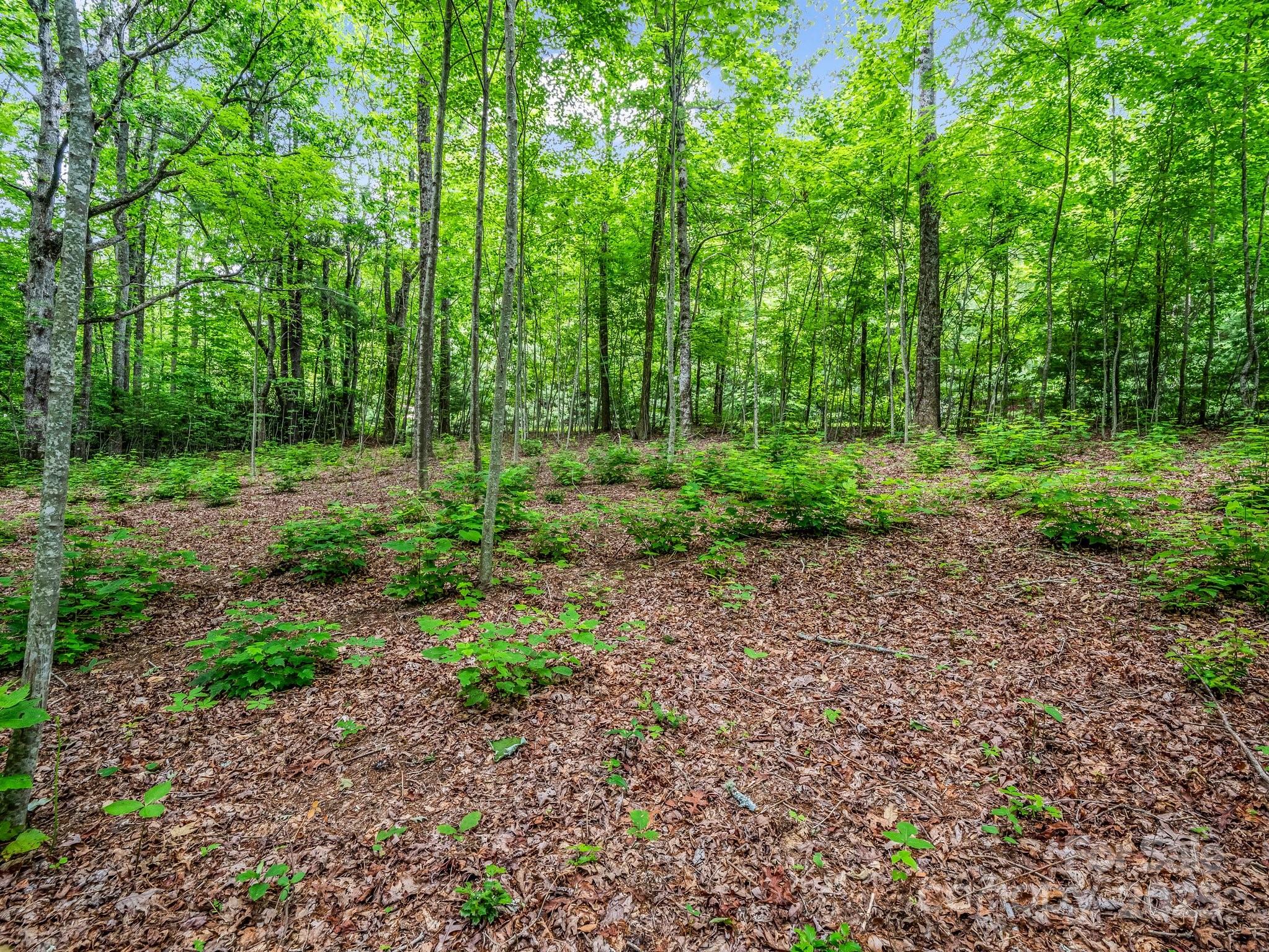 168 Tarnhill Drive Property Photo 15