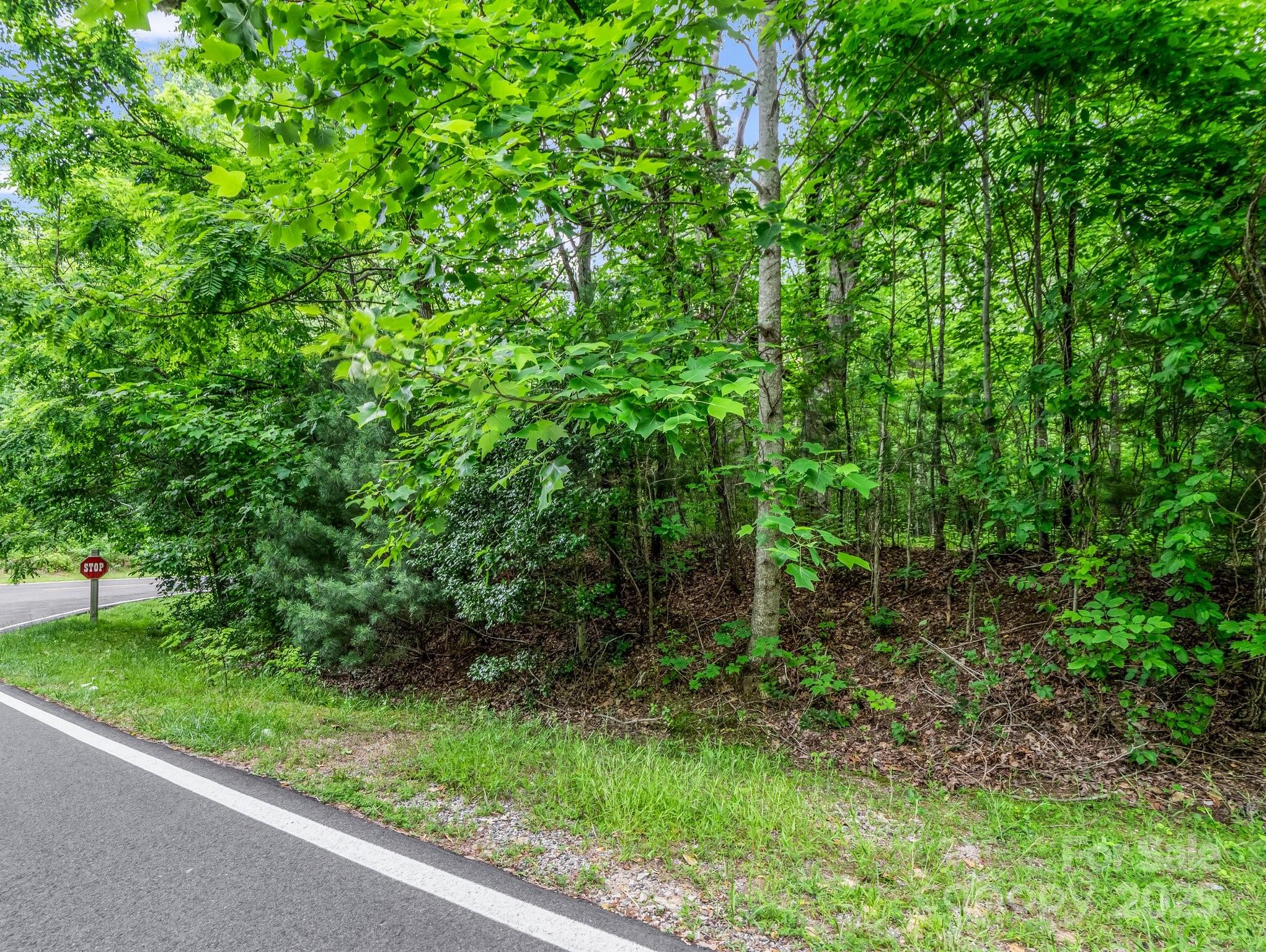 168 Tarnhill Drive Property Photo 16