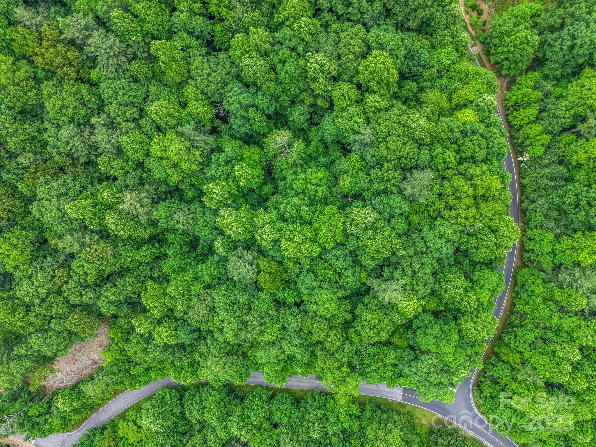 168 Tarnhill Drive Property Photo 17