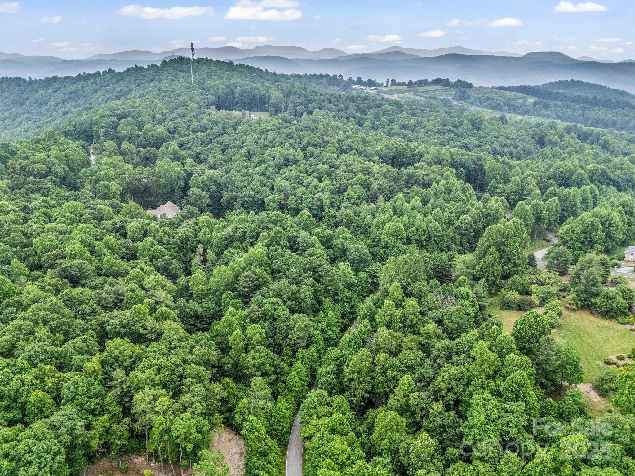 168 Tarnhill Drive Property Photo 28