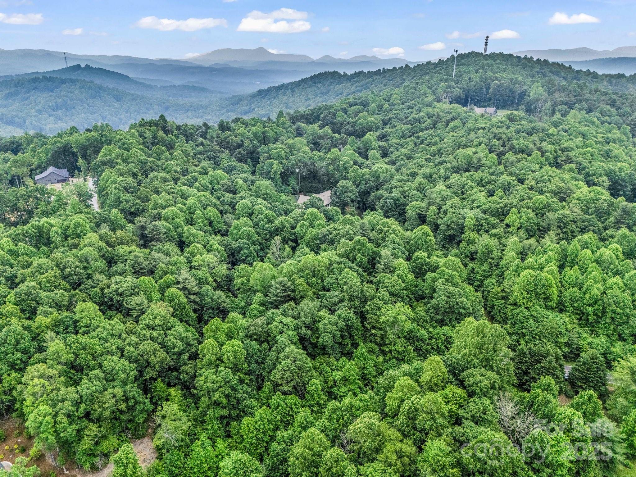 168 Tarnhill Drive Property Photo 29