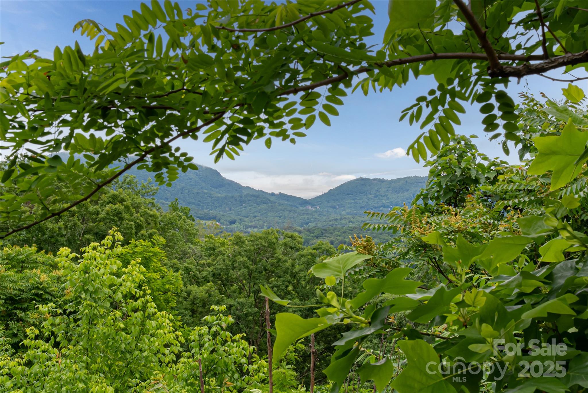 22 Samuel Ashe Drive 45 Property Photo 2