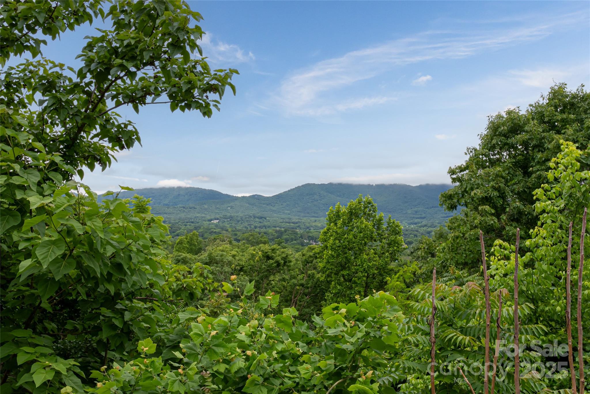 22 Samuel Ashe Drive 45 Property Photo 6