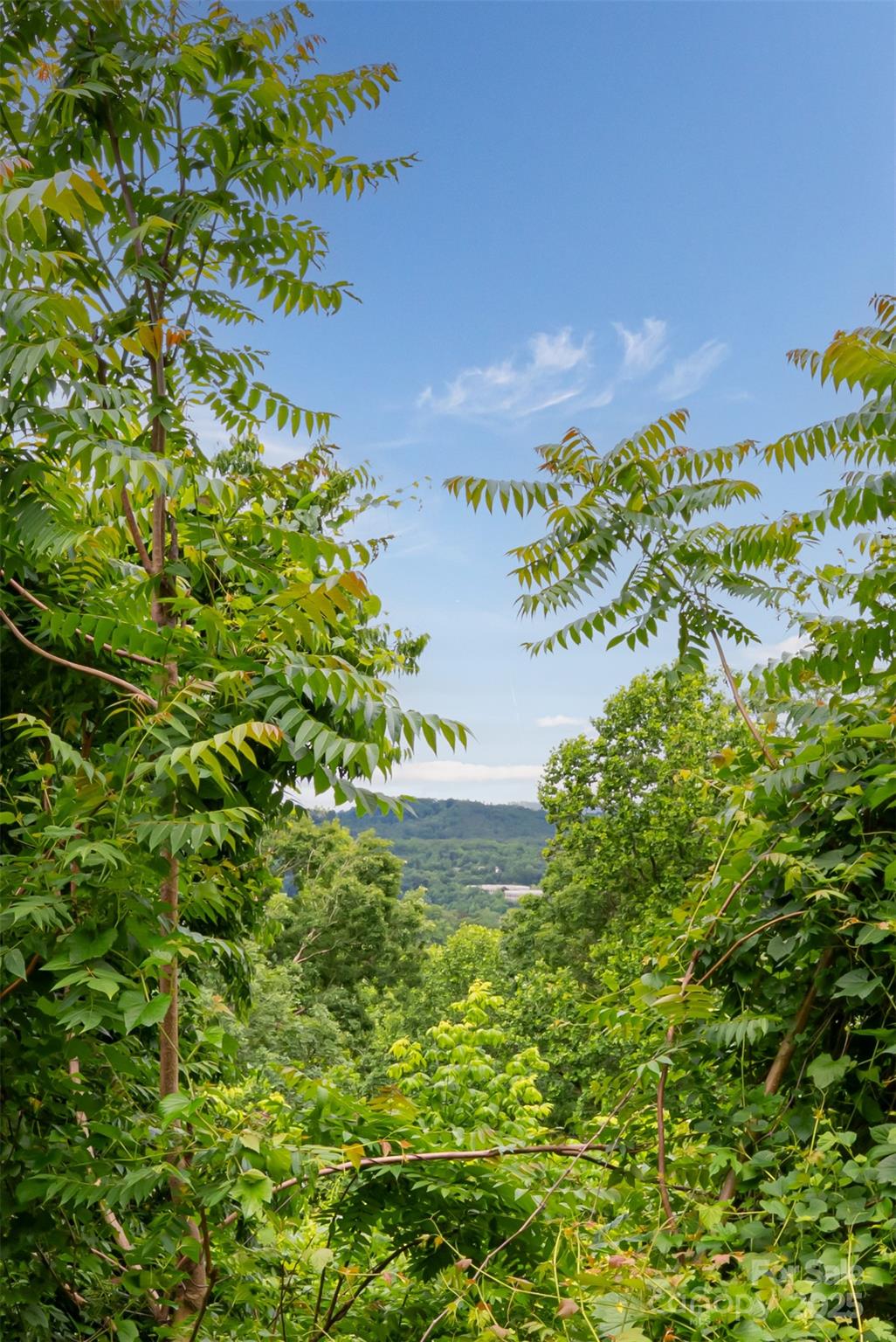 22 Samuel Ashe Drive 45 Property Photo 9