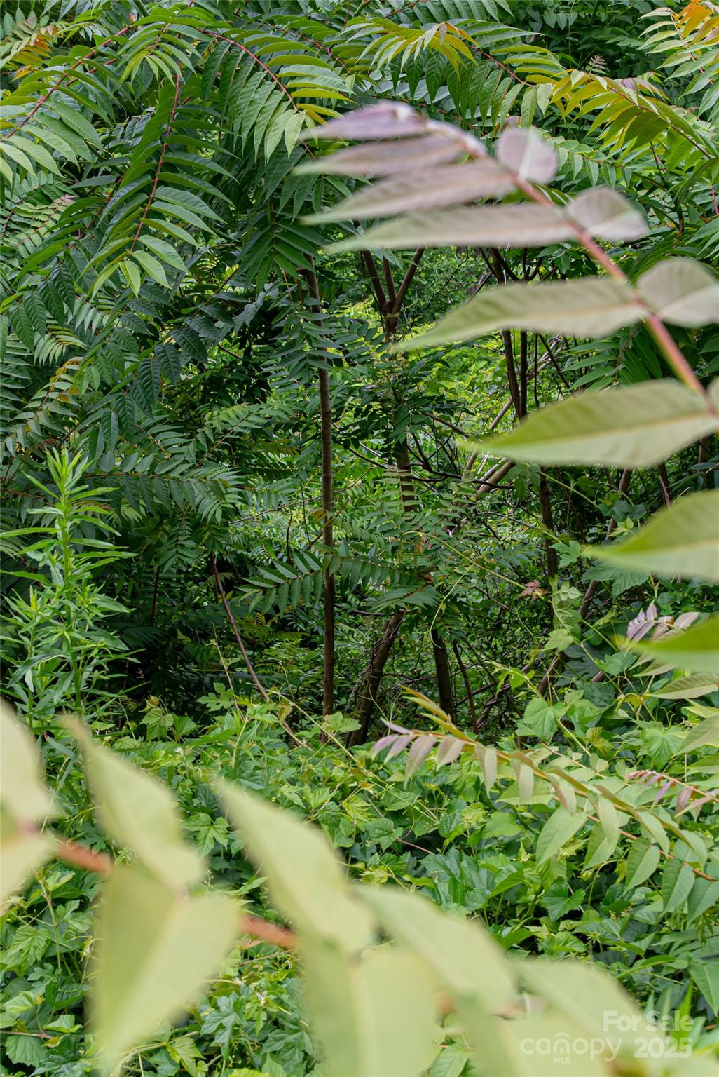 22 Samuel Ashe Drive 45 Property Photo 10