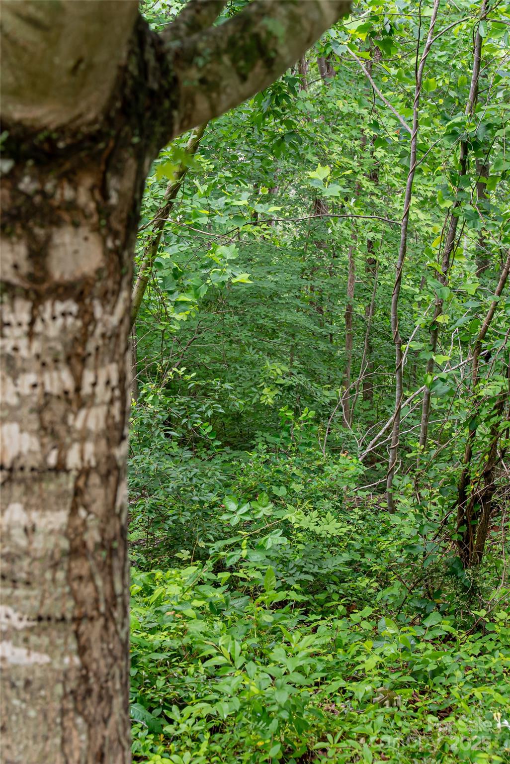 22 Samuel Ashe Drive 45 Property Photo 11