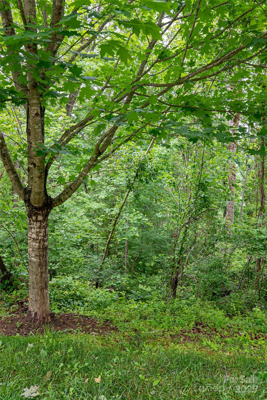 22 Samuel Ashe Drive 45 Property Photo 12