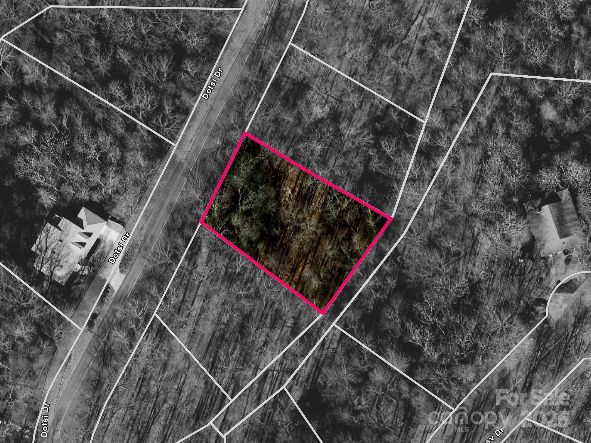 0000 Dotsi Drive Property Photo 3