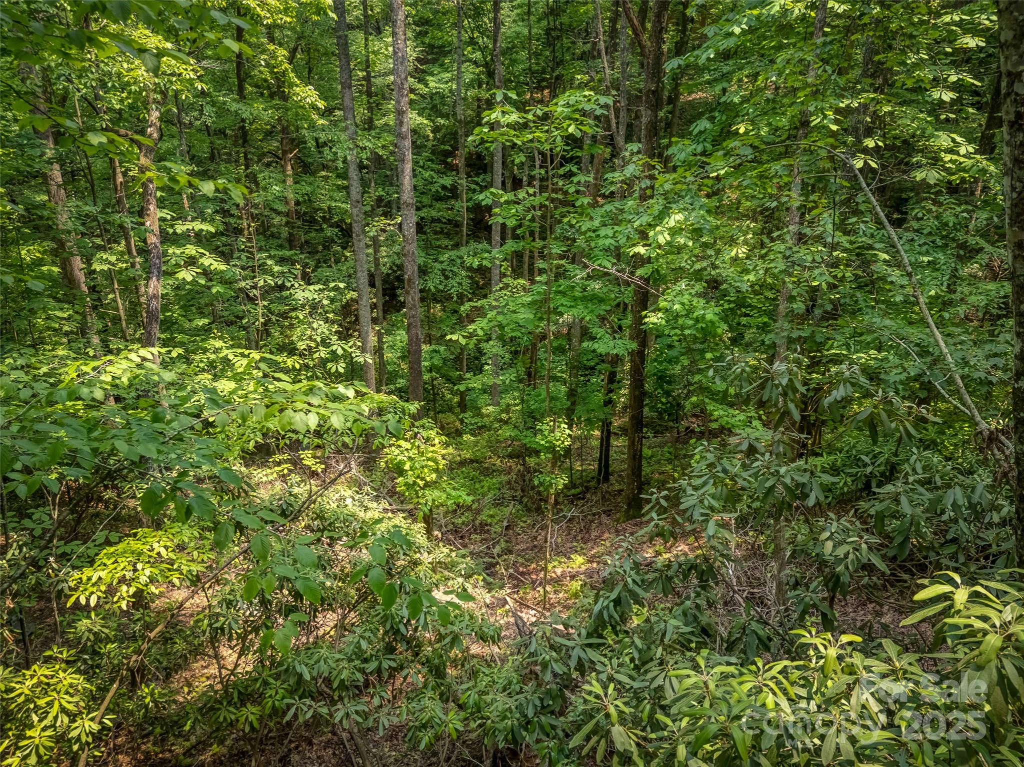 0000 Dotsi Drive Property Photo 12