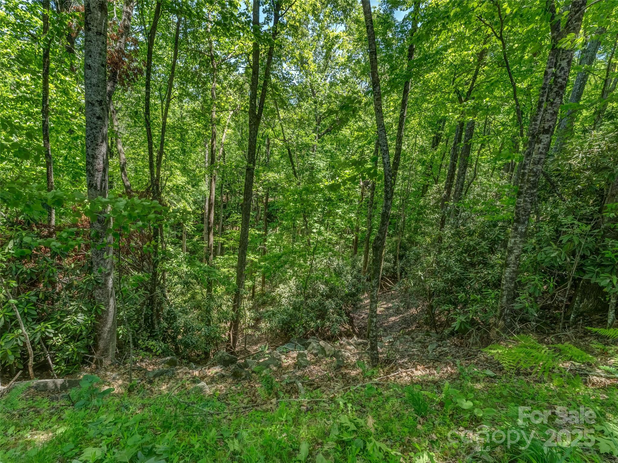 0000 Dotsi Drive Property Photo 13