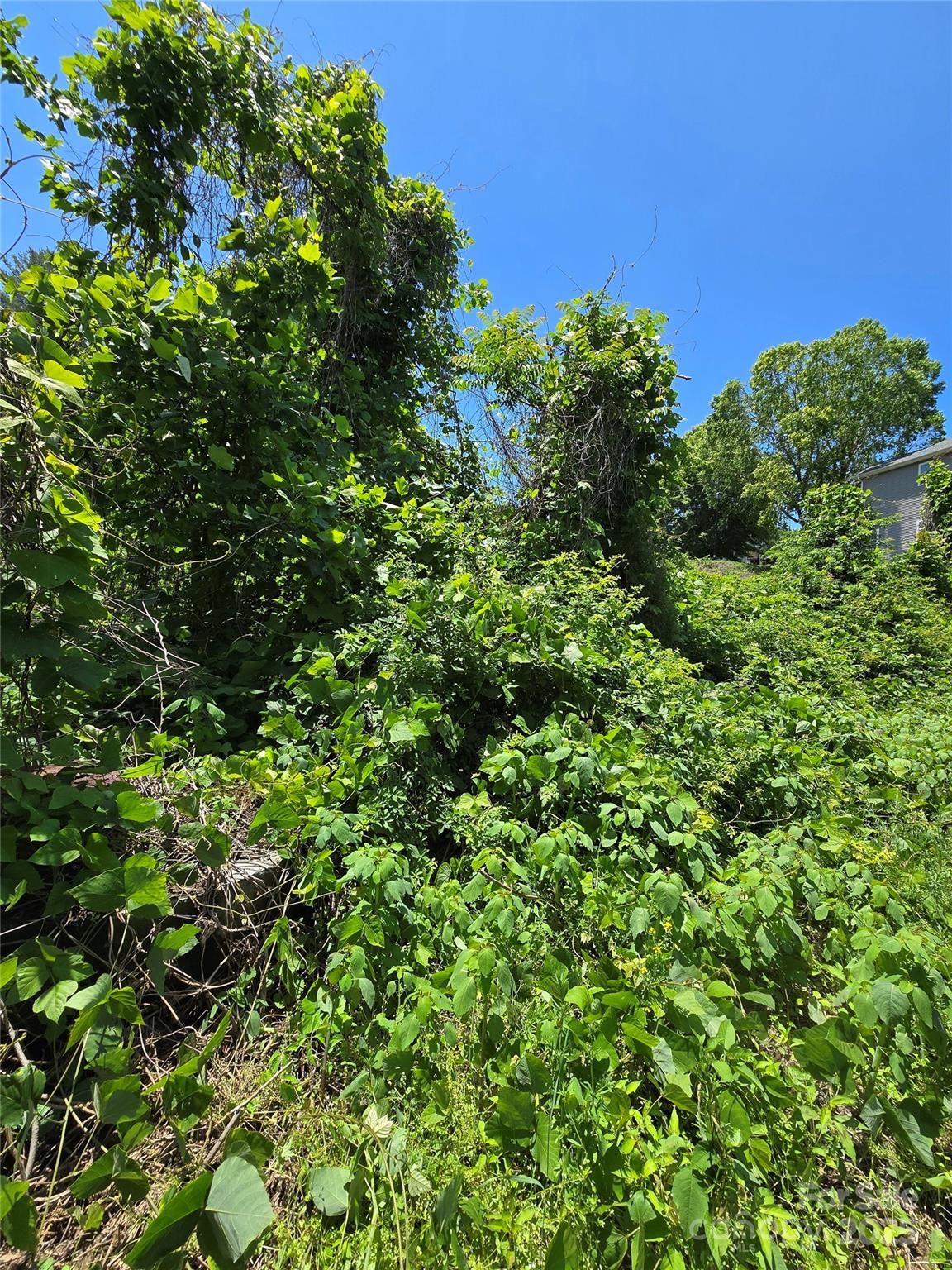 16 Village East Court Property Photo 19