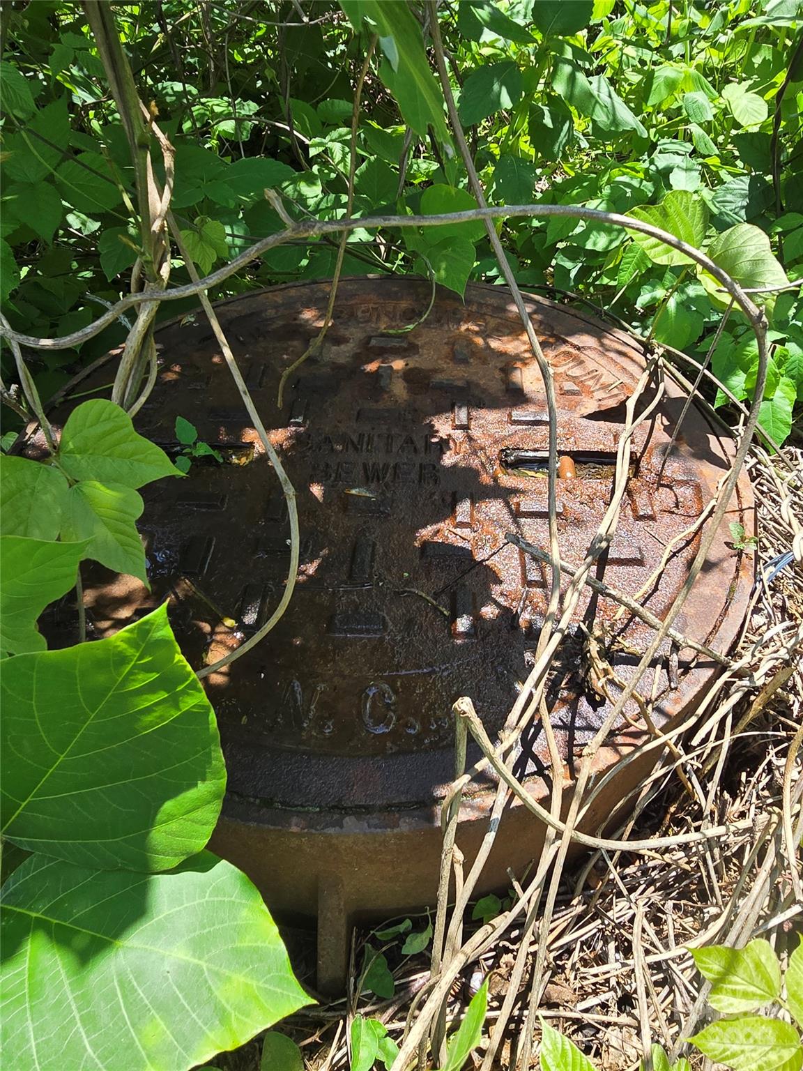 16 Village East Court Property Photo 20