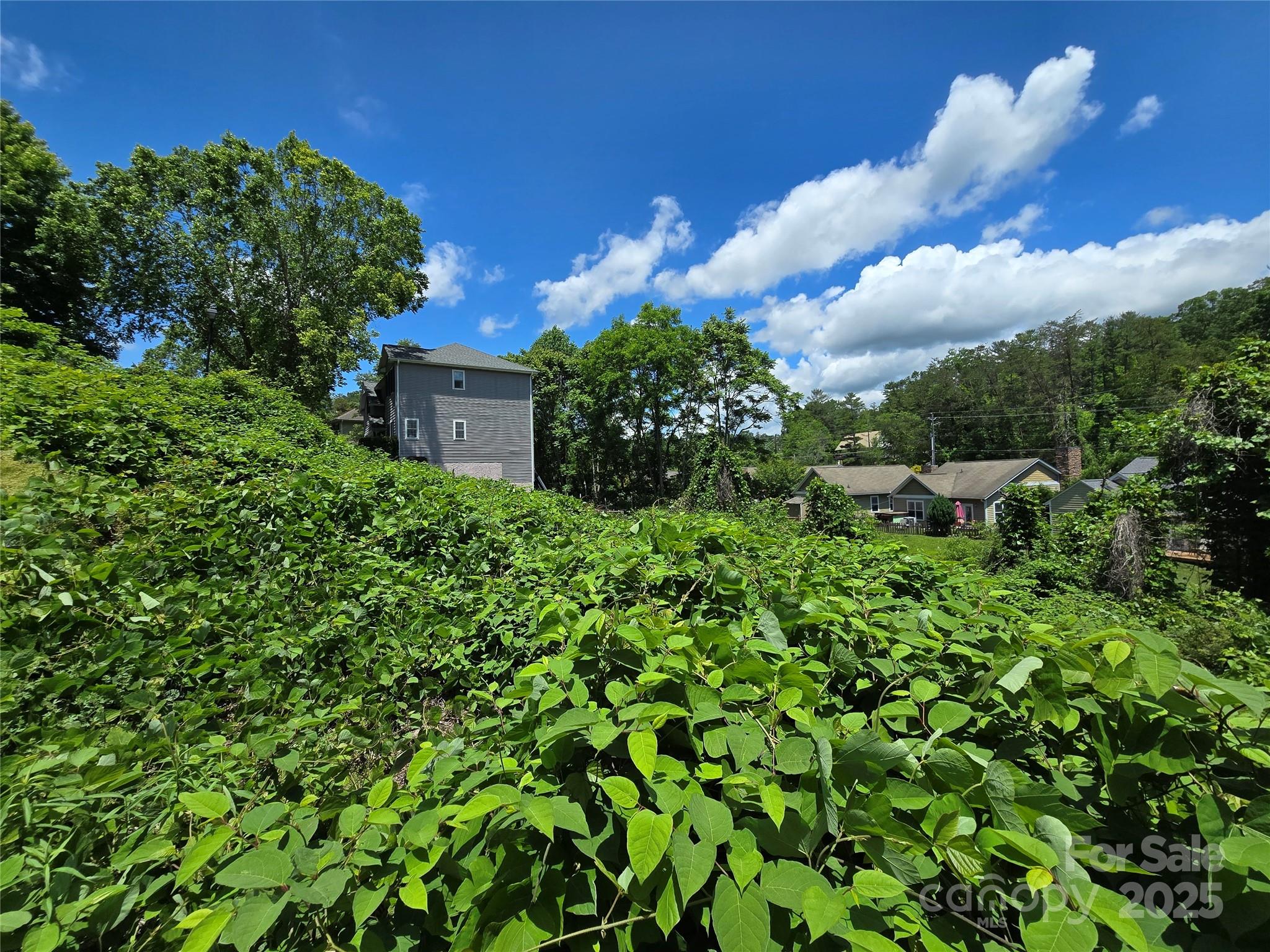 16 Village East Court Property Photo 22