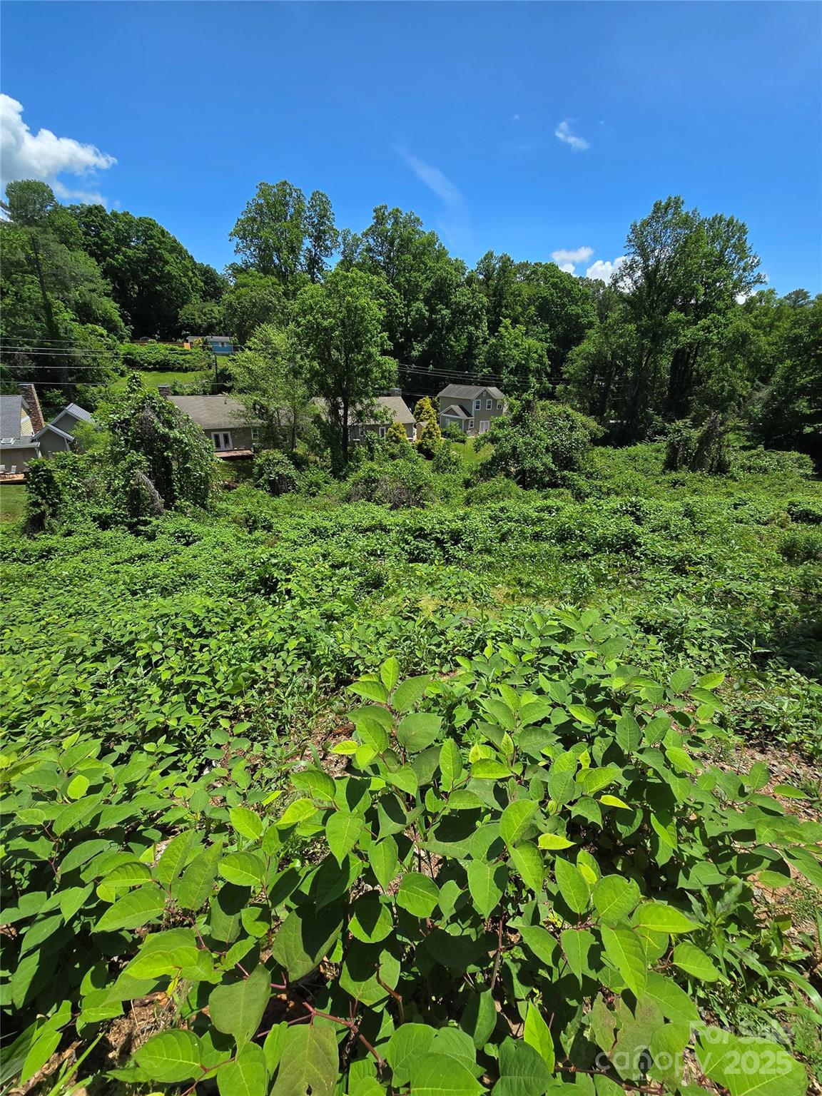 16 Village East Court Property Photo 23