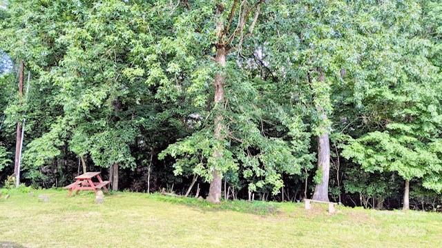 7133 Tall Tree Lane Property Photo 16