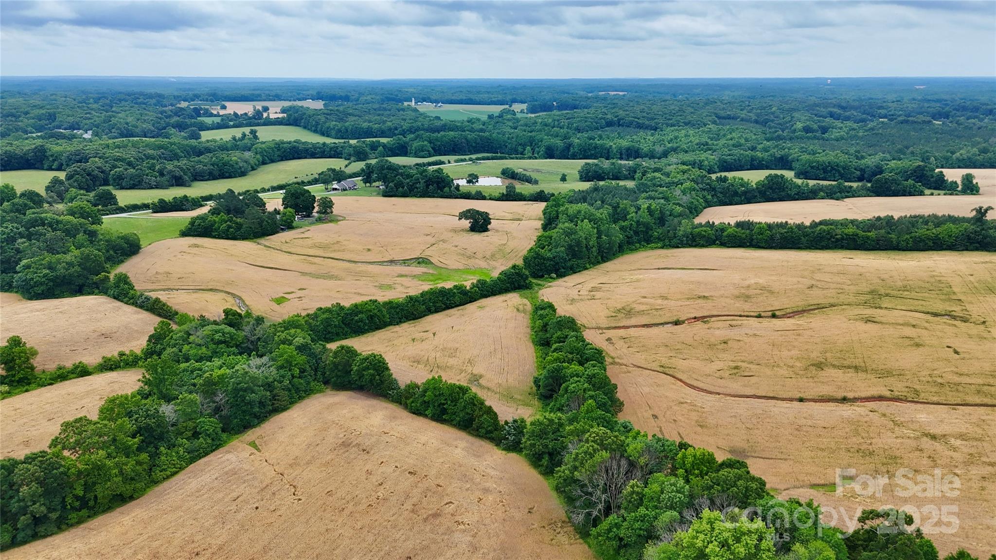 5904 Nesbit Road Property Photo 8