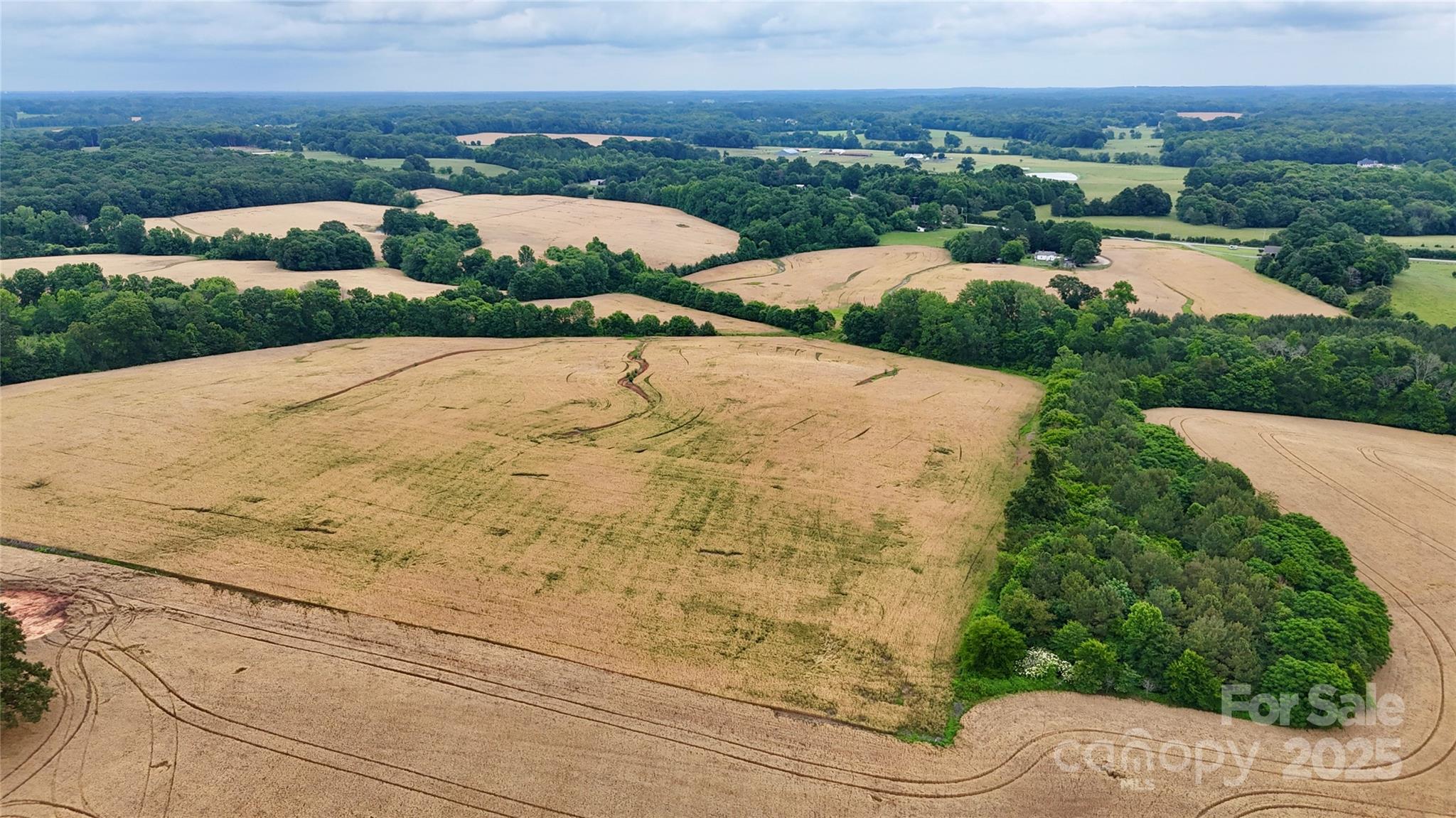 5904 Nesbit Road Property Photo 12