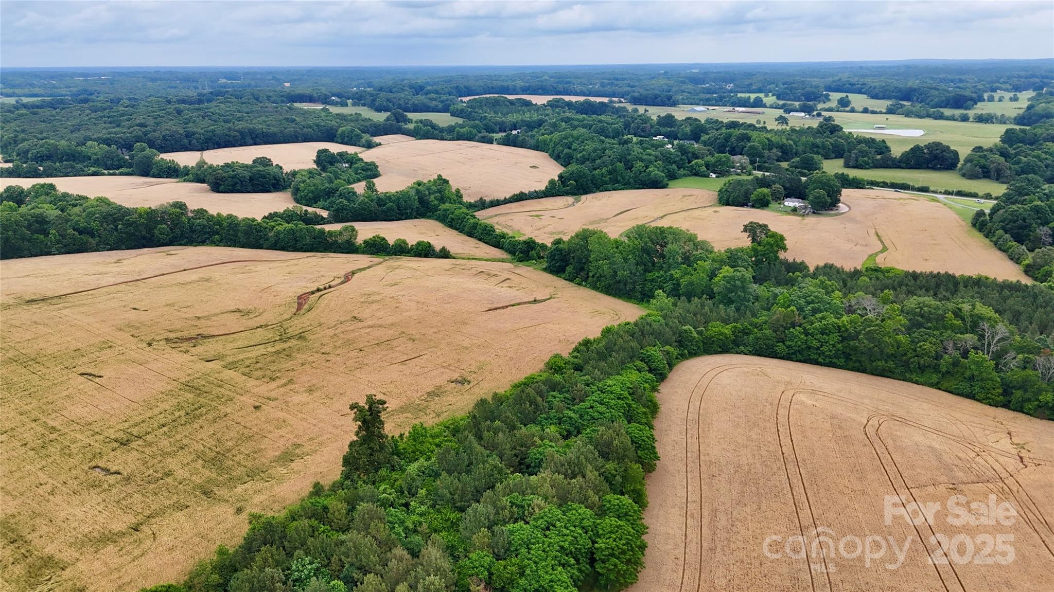 5904 Nesbit Road Property Photo 13