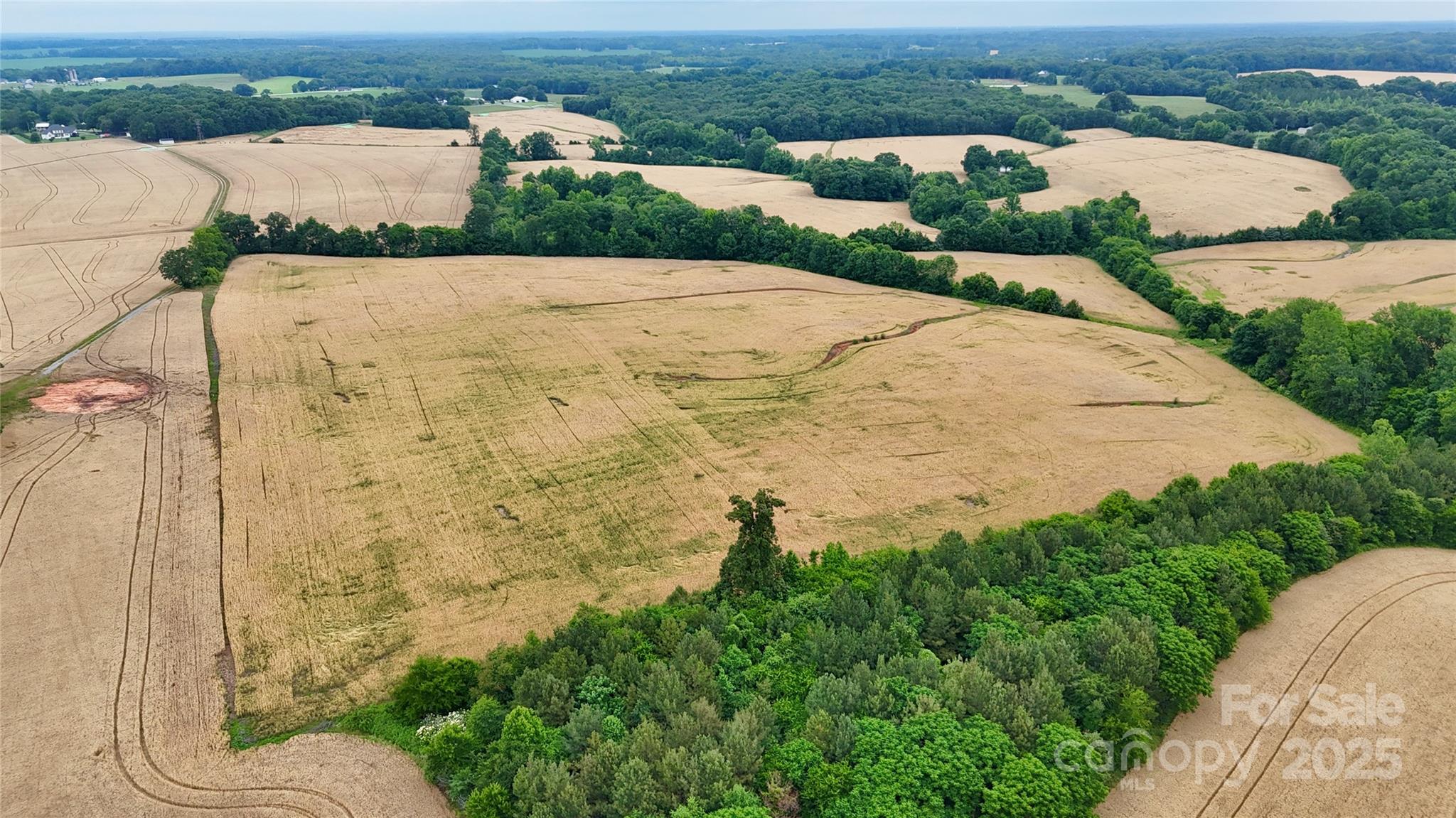 5904 Nesbit Road Property Photo 14