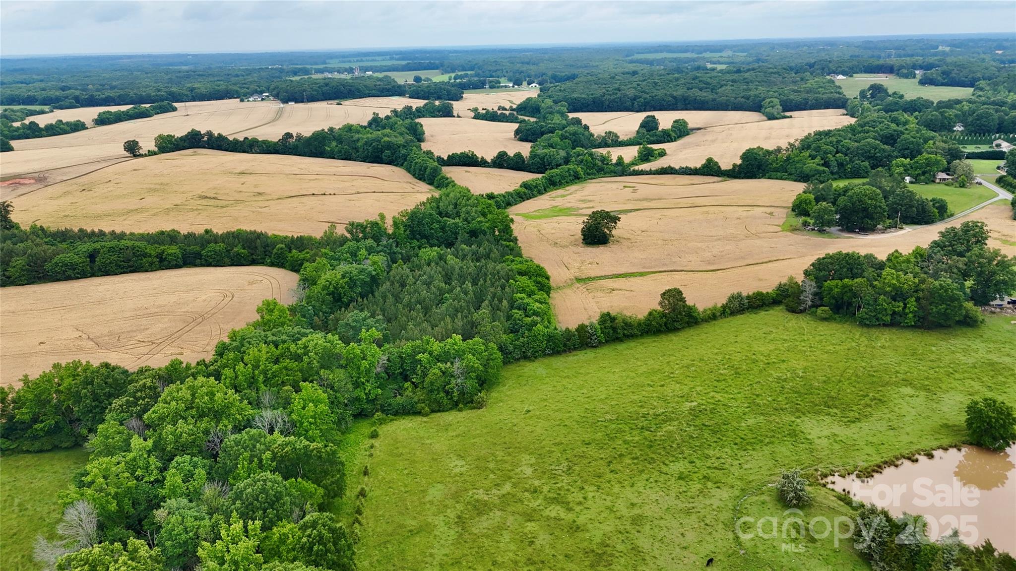 5904 Nesbit Road Property Photo 16