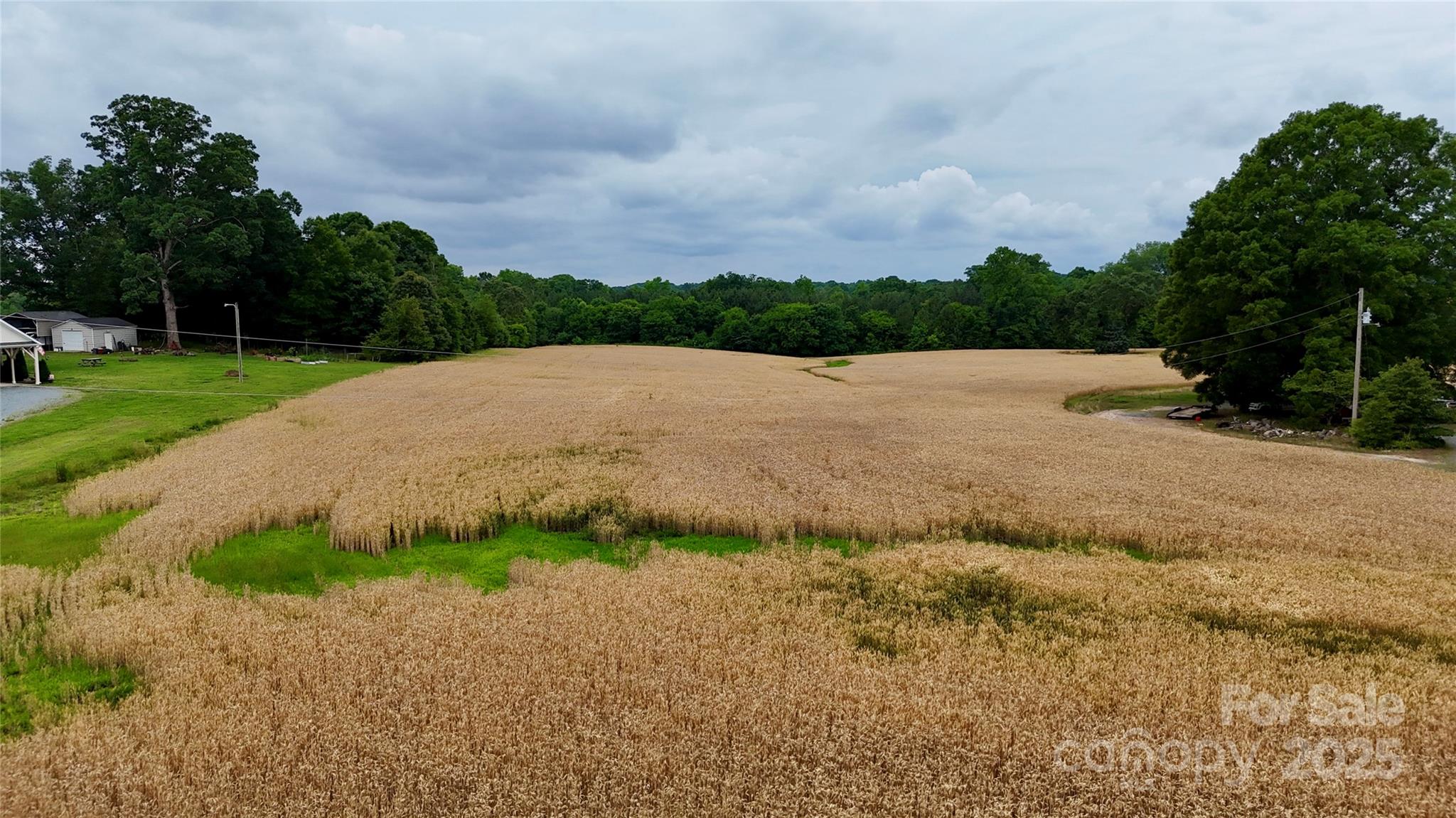 5904 Nesbit Road Property Photo 20