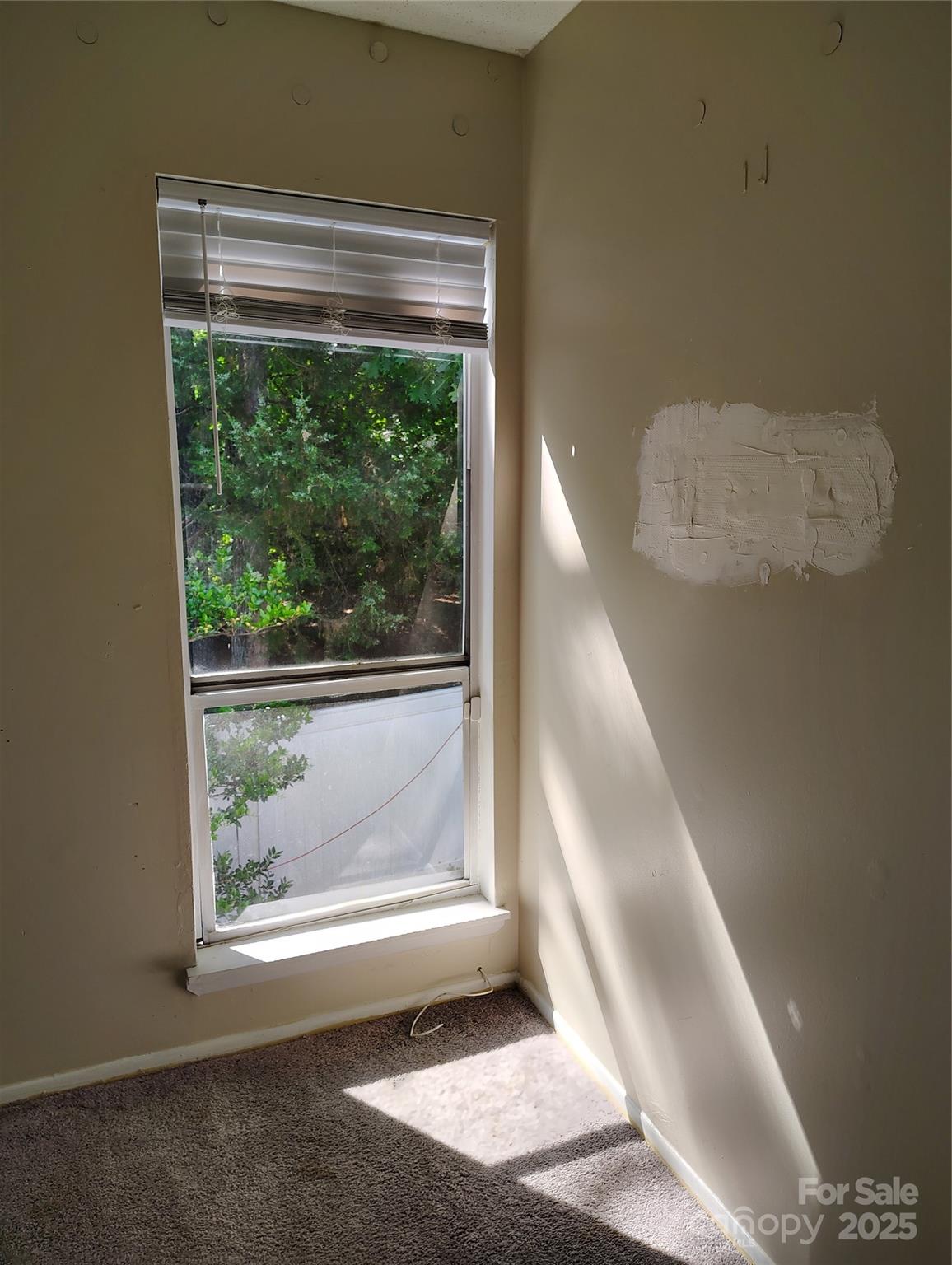 7107 Stonington Lane Property Photo 6