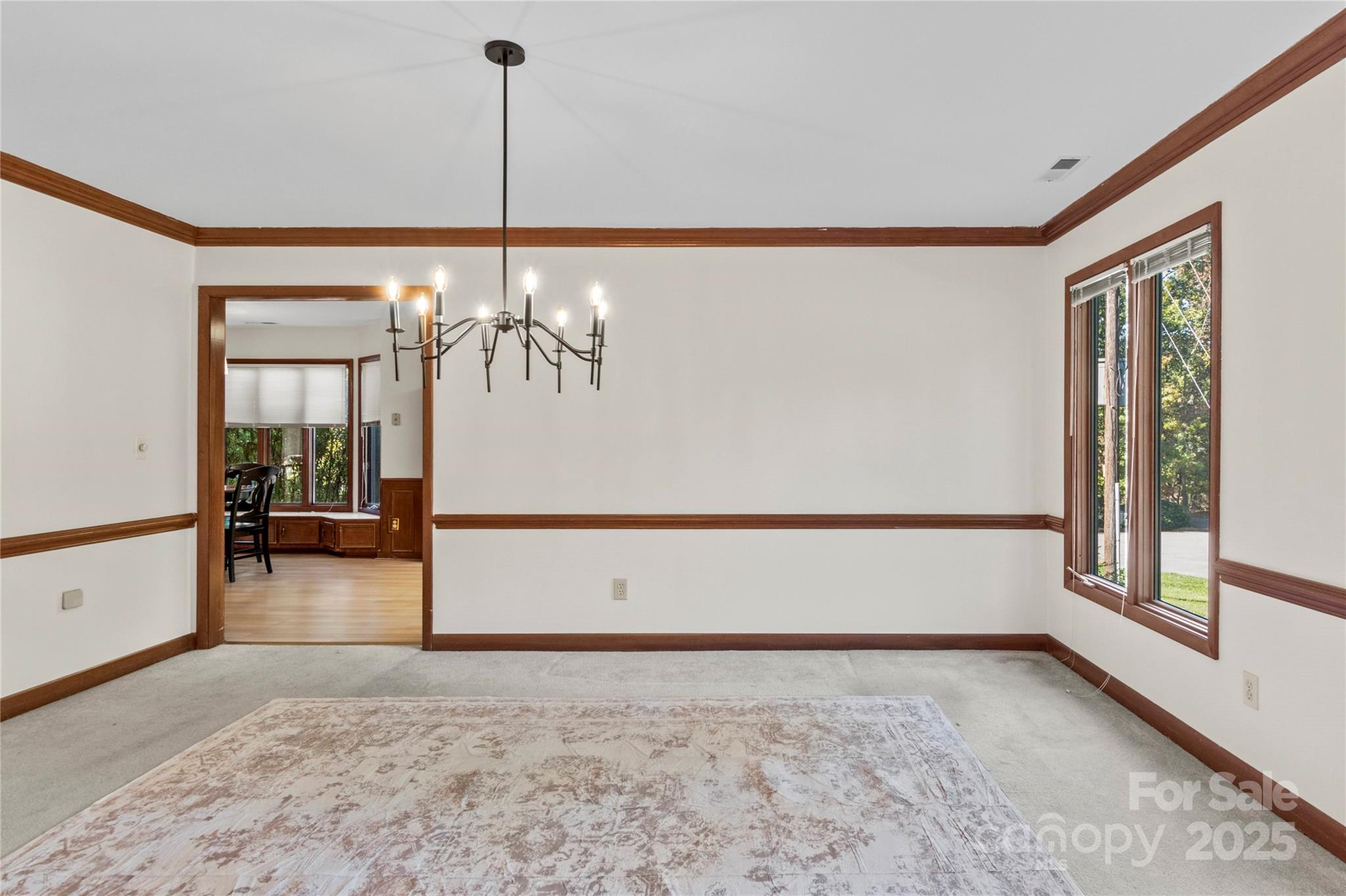 1201 Cliffspring Court Property Photo 20