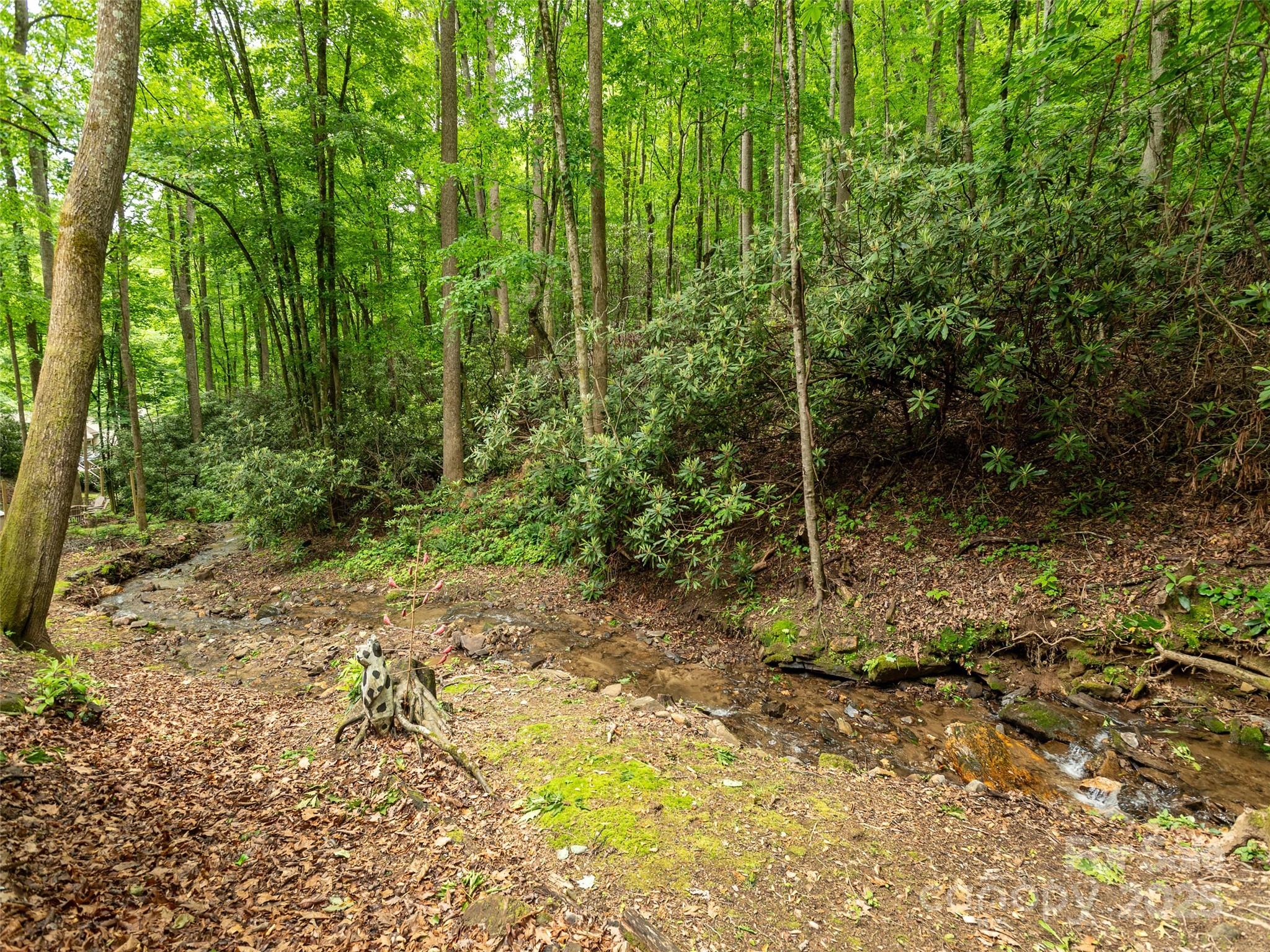 141 Creekside Drive Property Photo 30