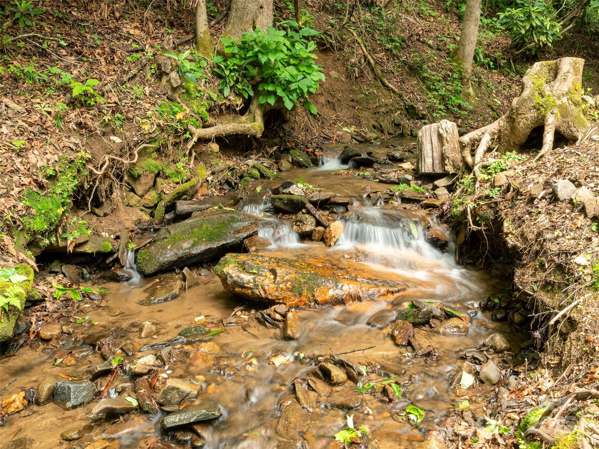 141 Creekside Drive Property Photo 33