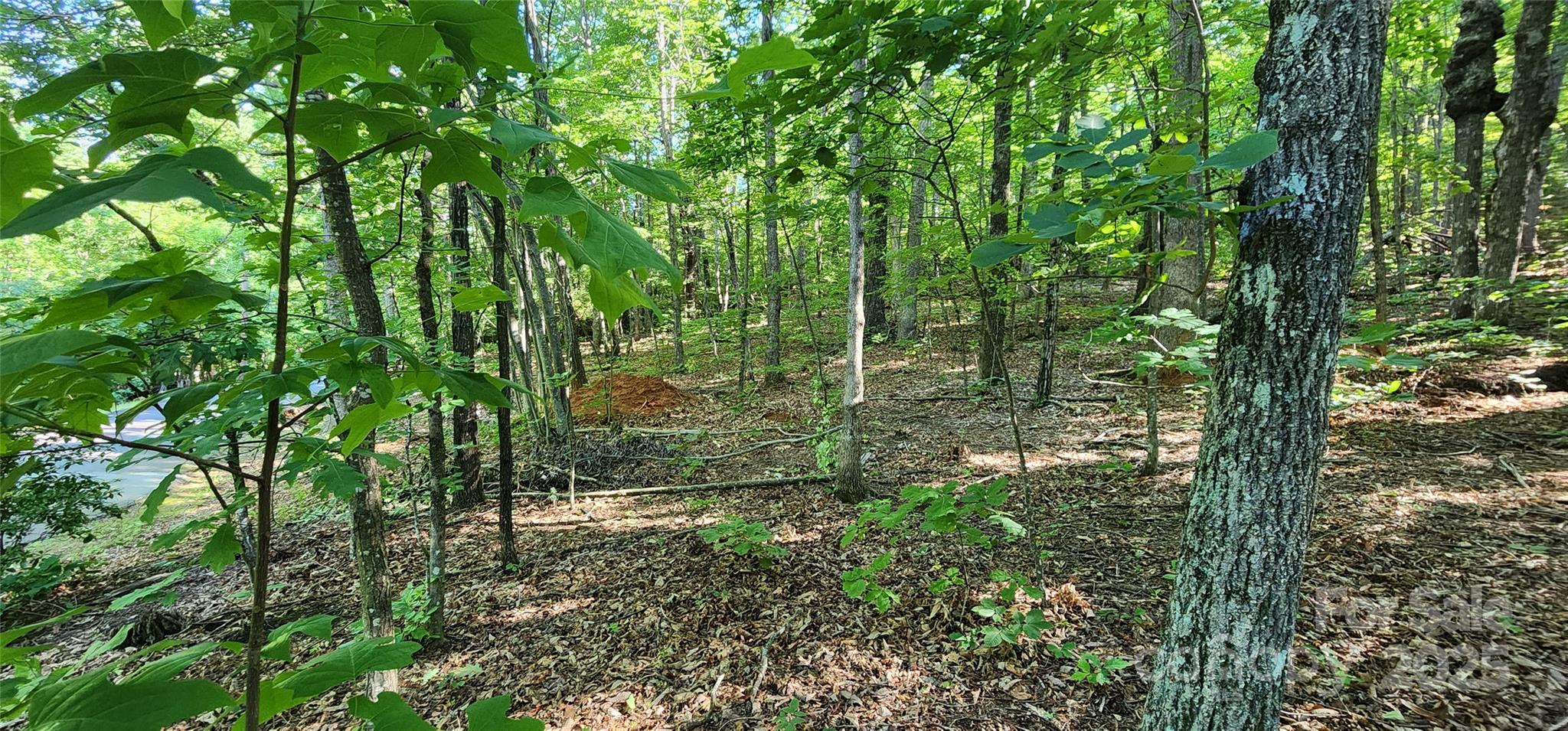 Lot 71 Serpentine Drive 71 Property Photo 3