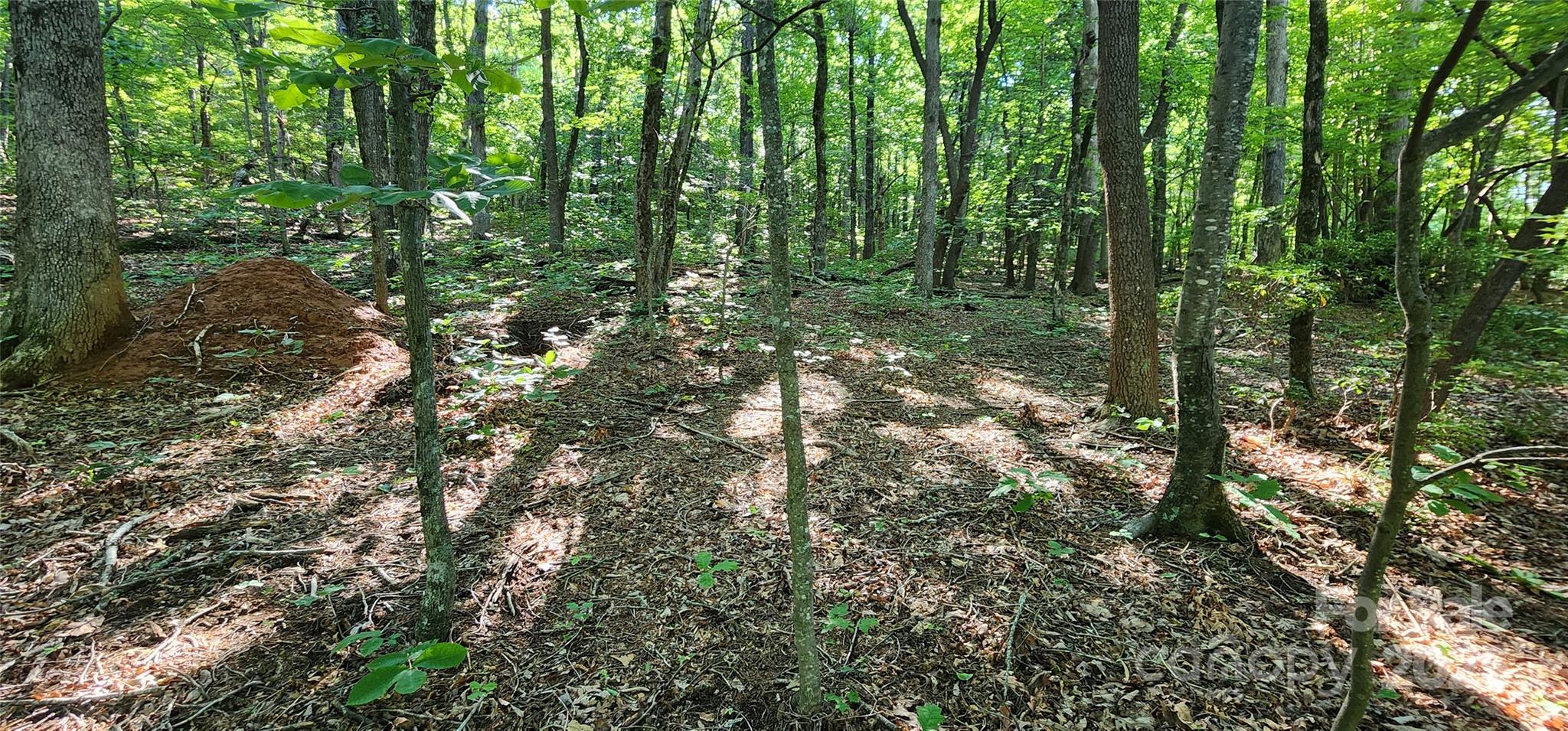 Lot 71 Serpentine Drive 71 Property Photo 10