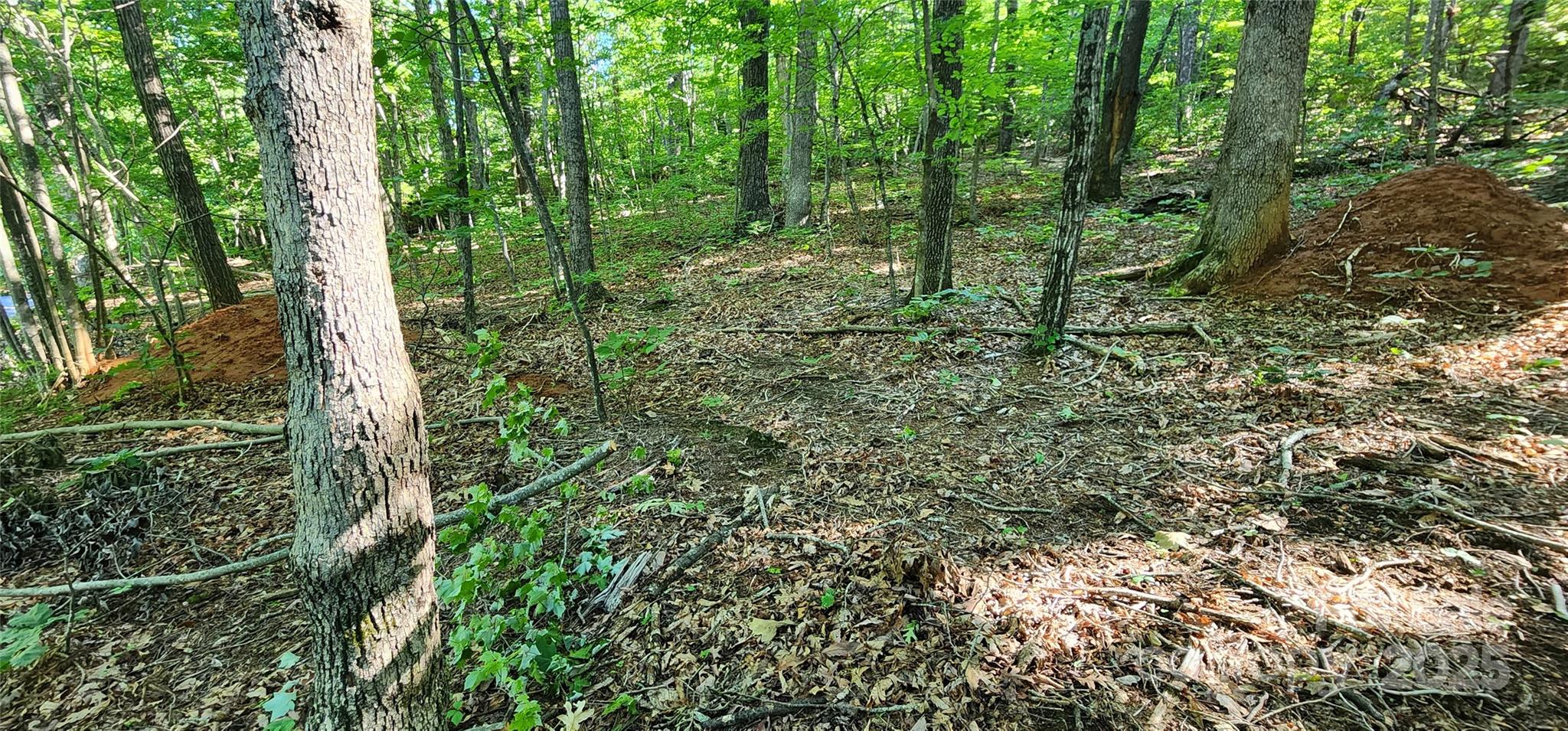 Lot 71 Serpentine Drive 71 Property Photo 11