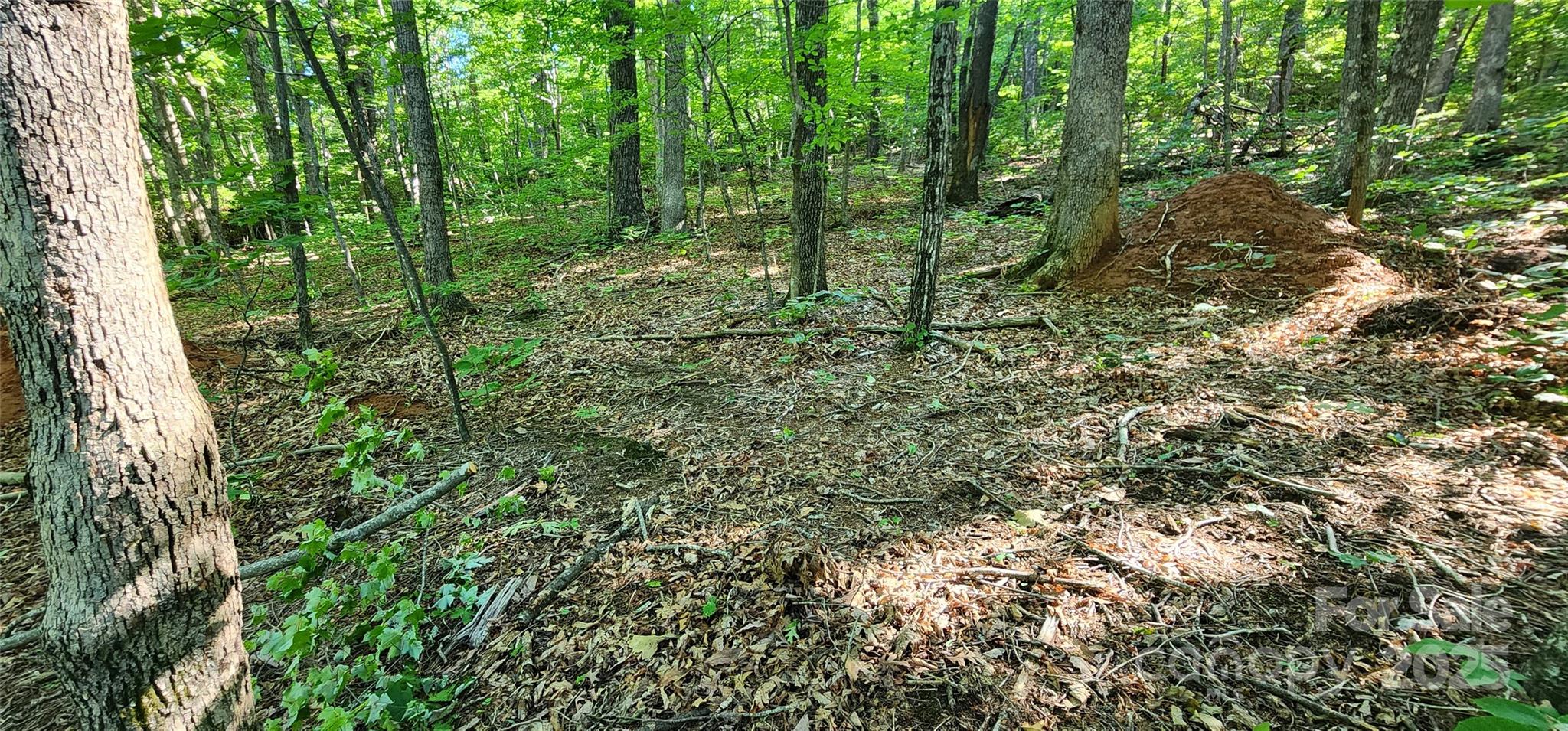 Lot 71 Serpentine Drive 71 Property Photo 12