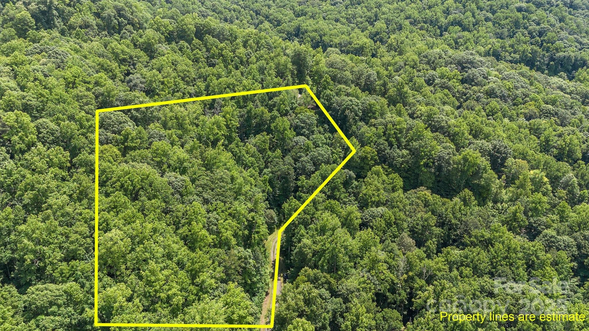 #10 & 44 Poplar Path Property Photo 6