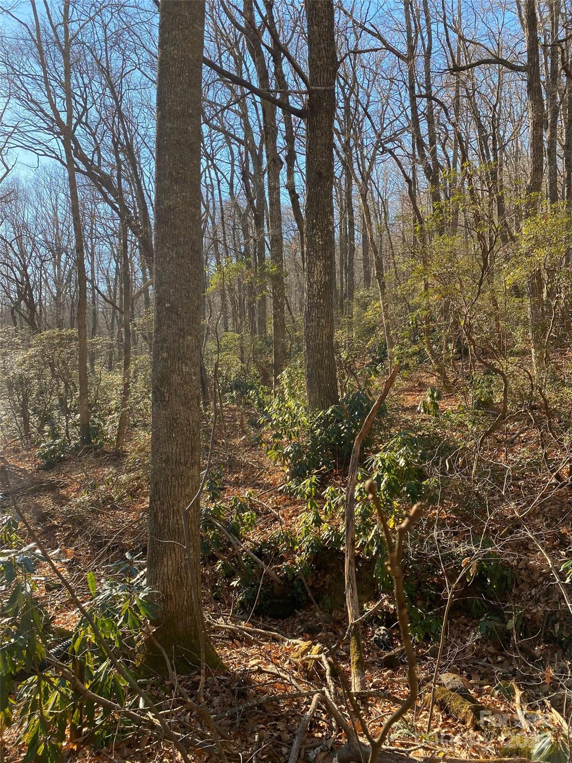 99999 Long Branch Road 1 Property Photo 6