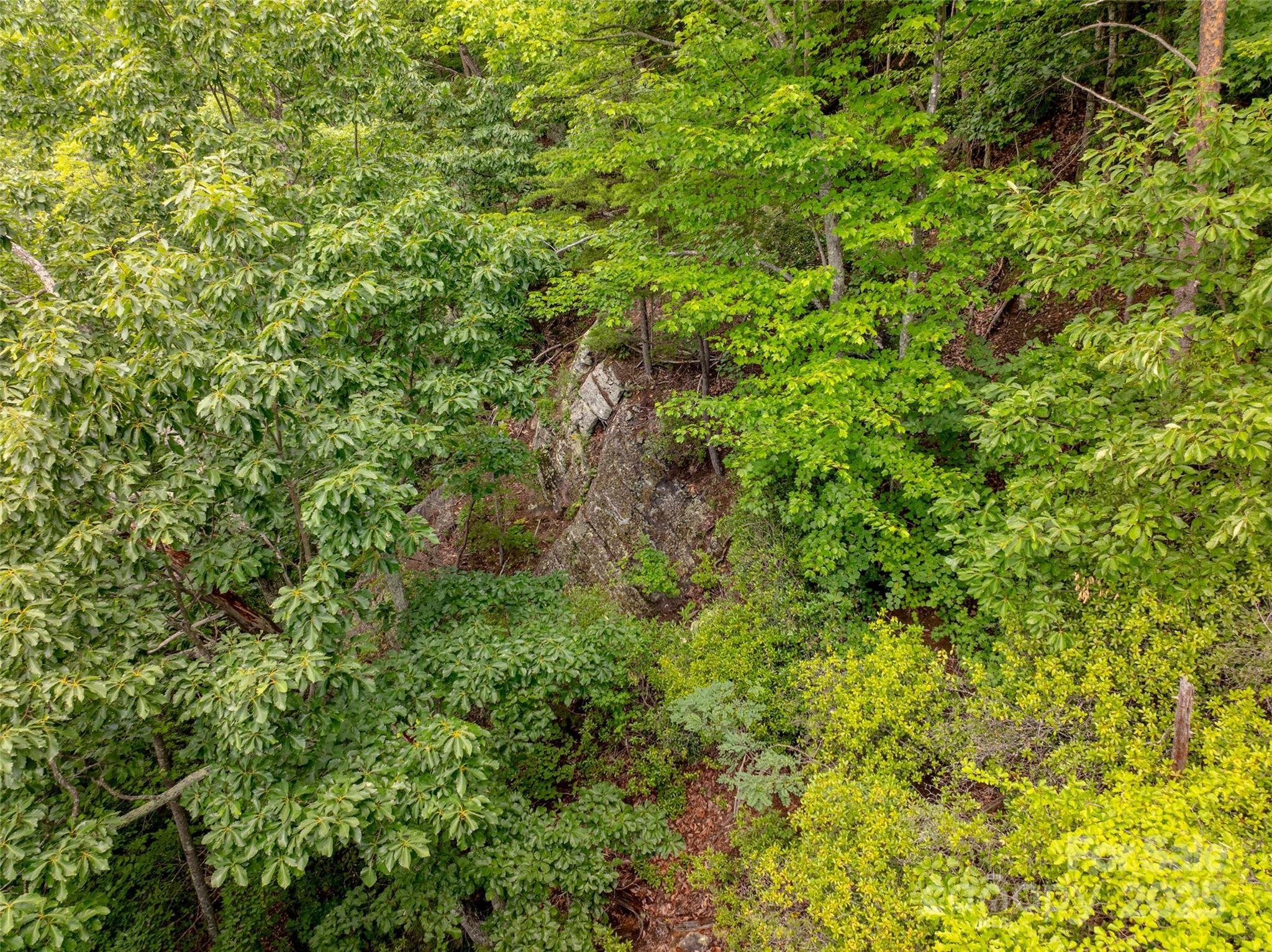 0 Doubleview Drive Property Photo 4