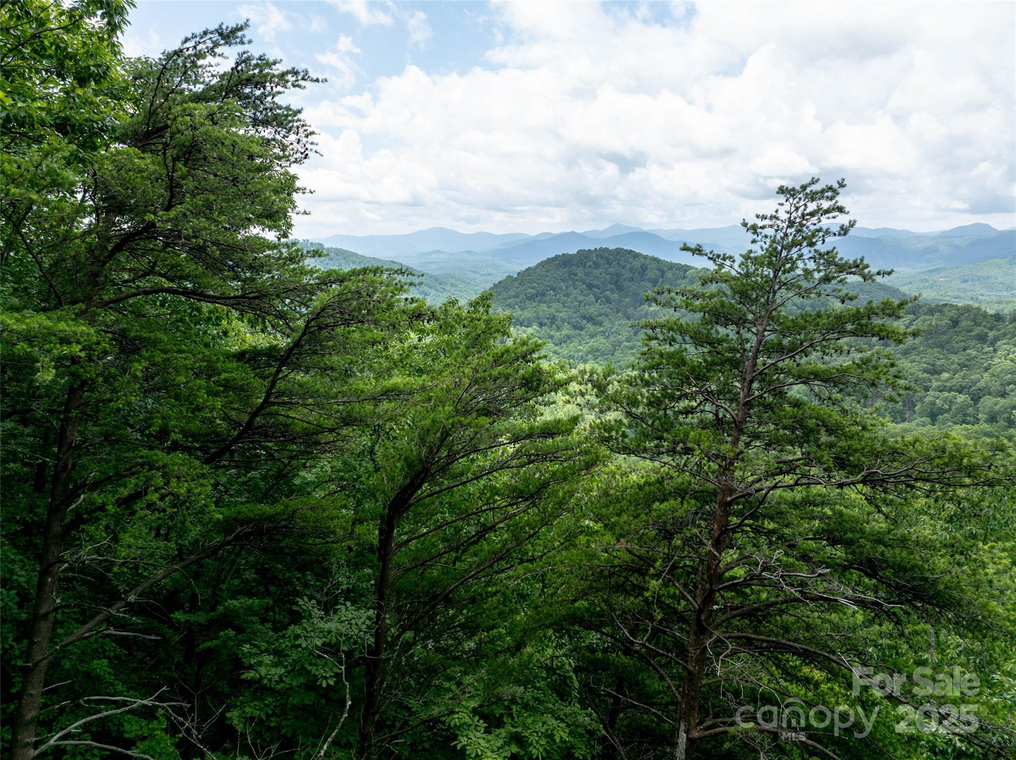0 Doubleview Drive Property Photo 6