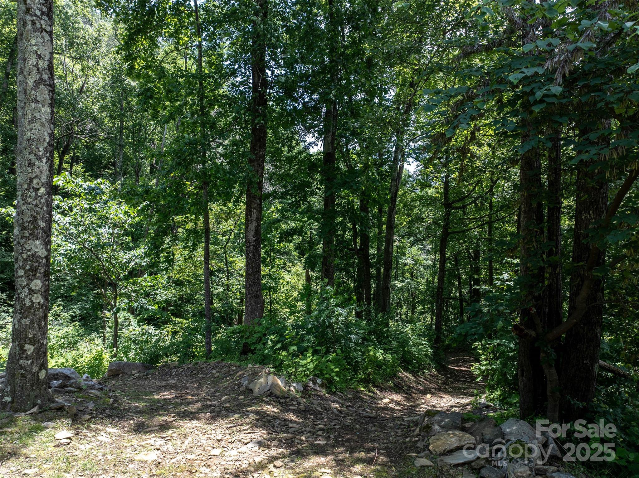 0 Doubleview Drive Property Photo 13